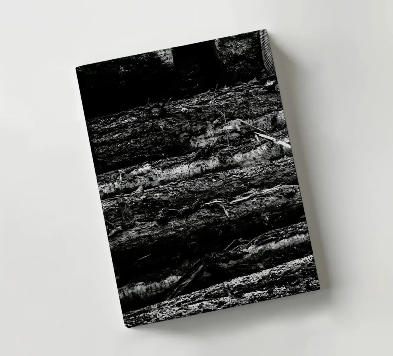 The Logs Notizbuch von Dustin Janko