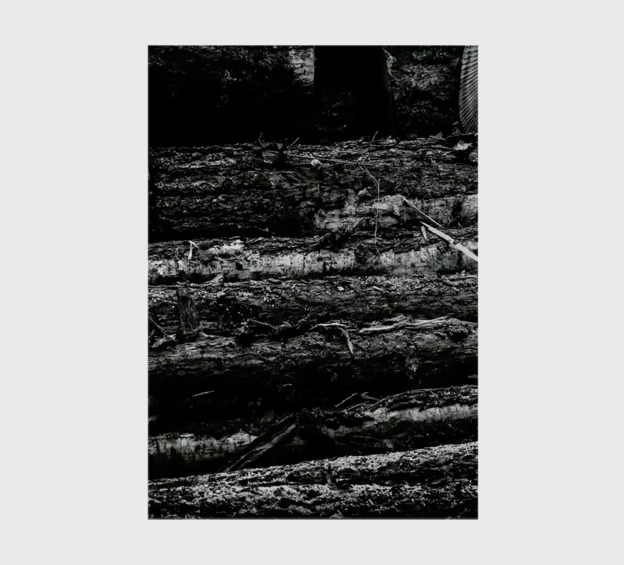 The Logs notebook by Dustin Janko