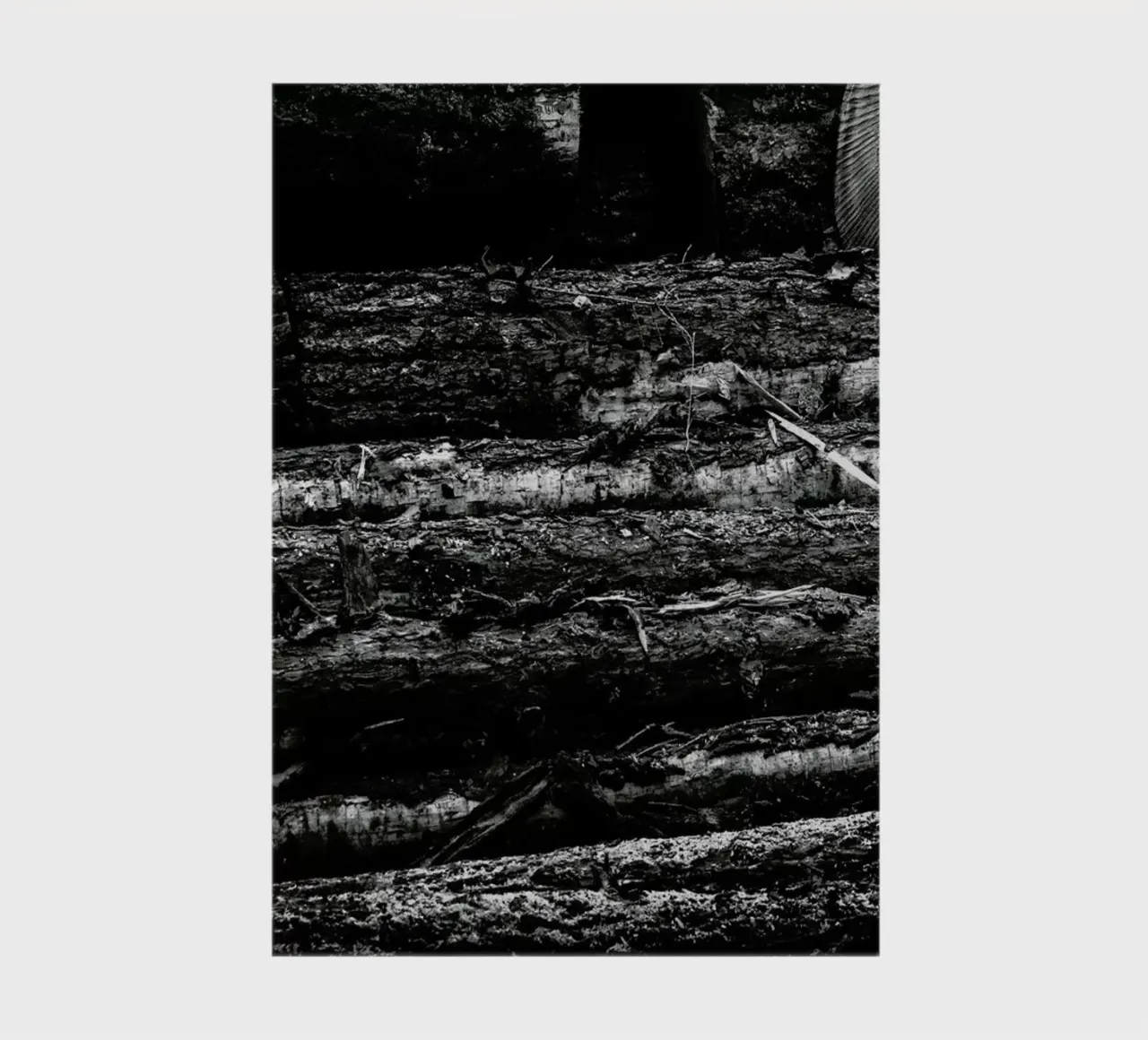 The Logs Notizbuch von Dustin Janko