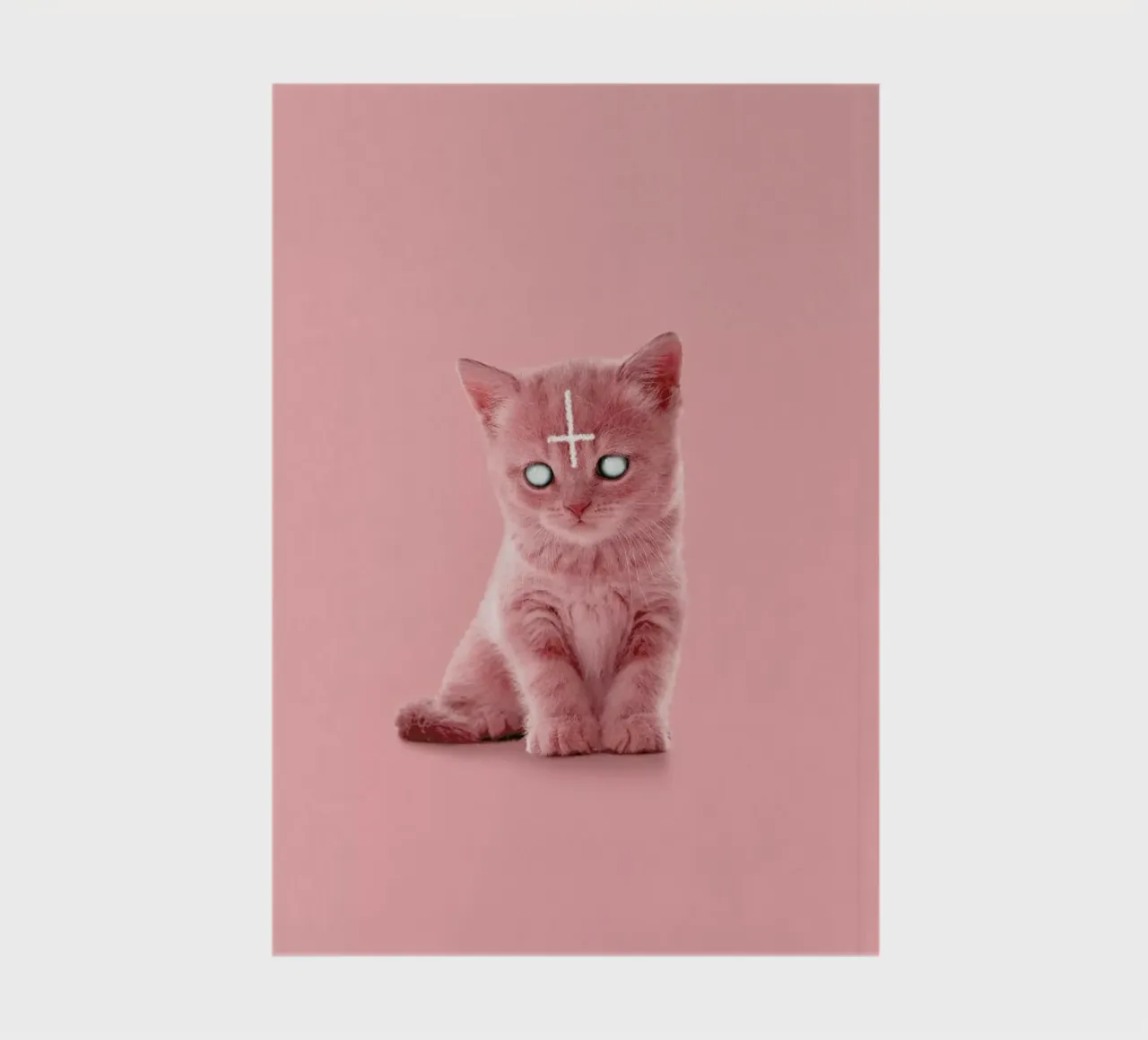 Lucipurr notebook by Jonas Loose