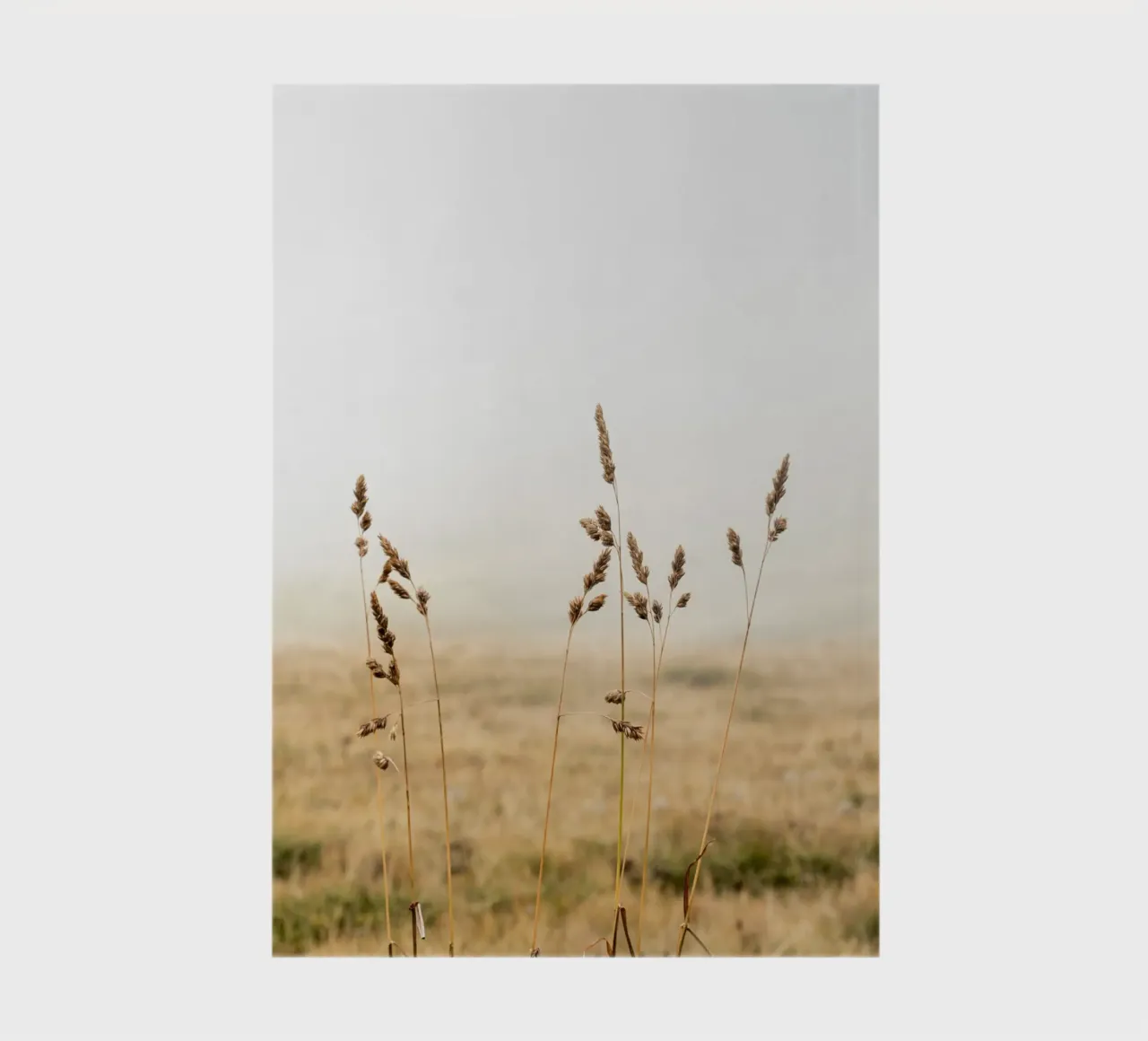 Moody Day in the Fields notebook by Henrike Schenk Photography