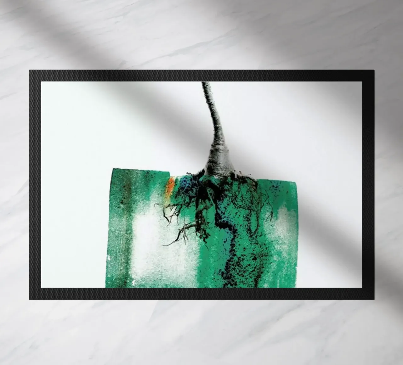 Adenium zerbino da Shot By Clint