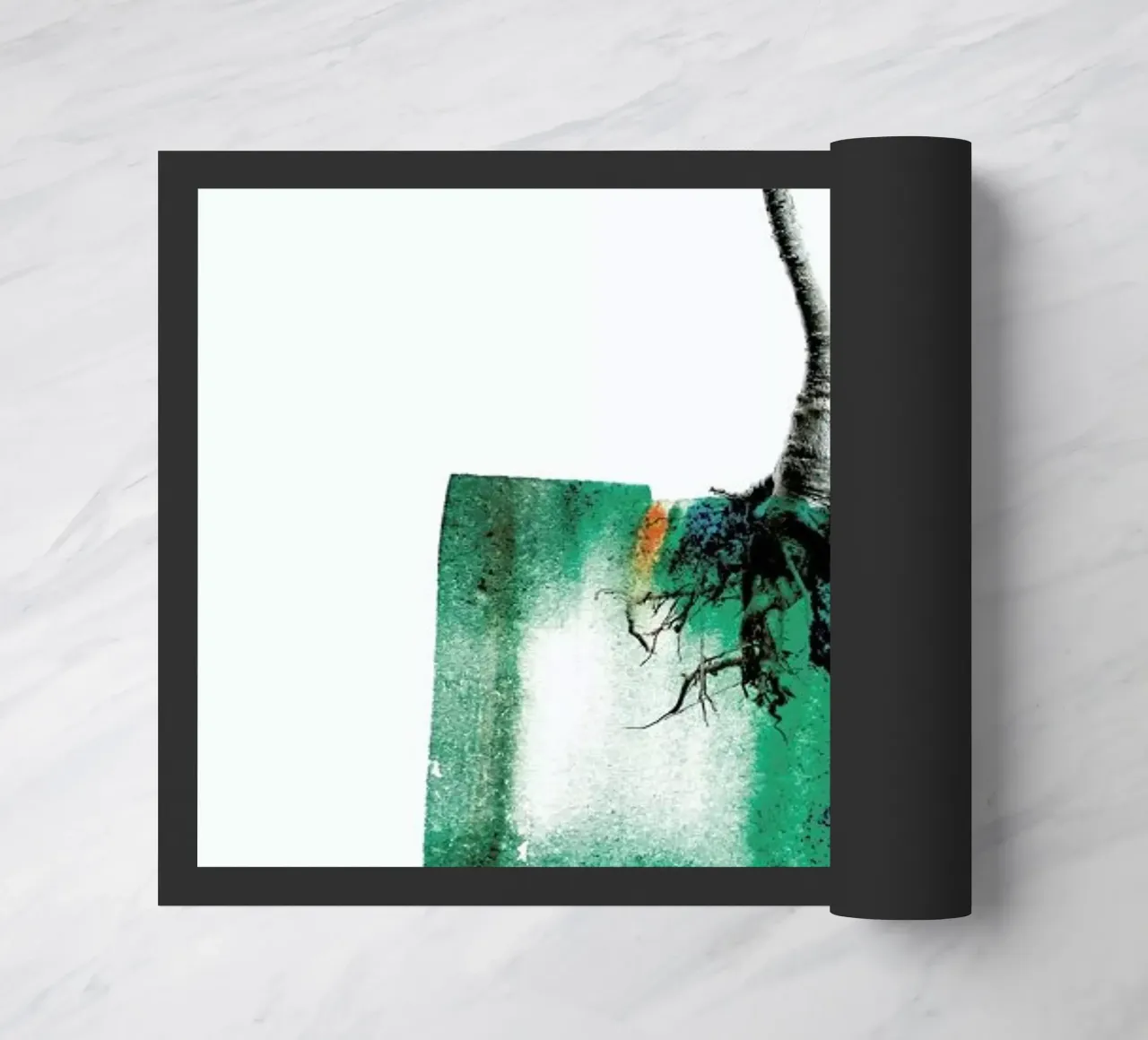 Adenium zerbino da Shot By Clint