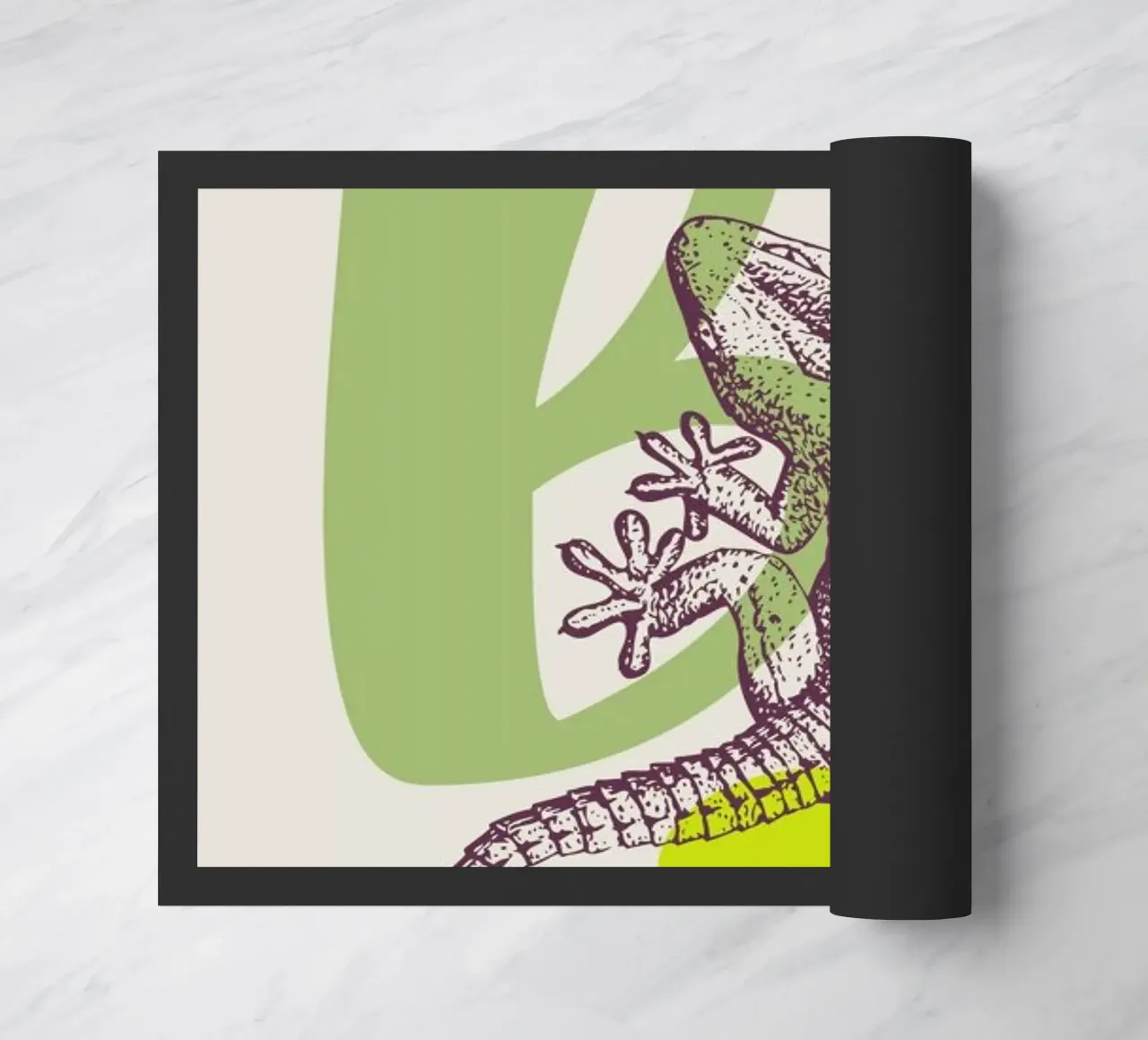 B zerbino da Froilein Juno