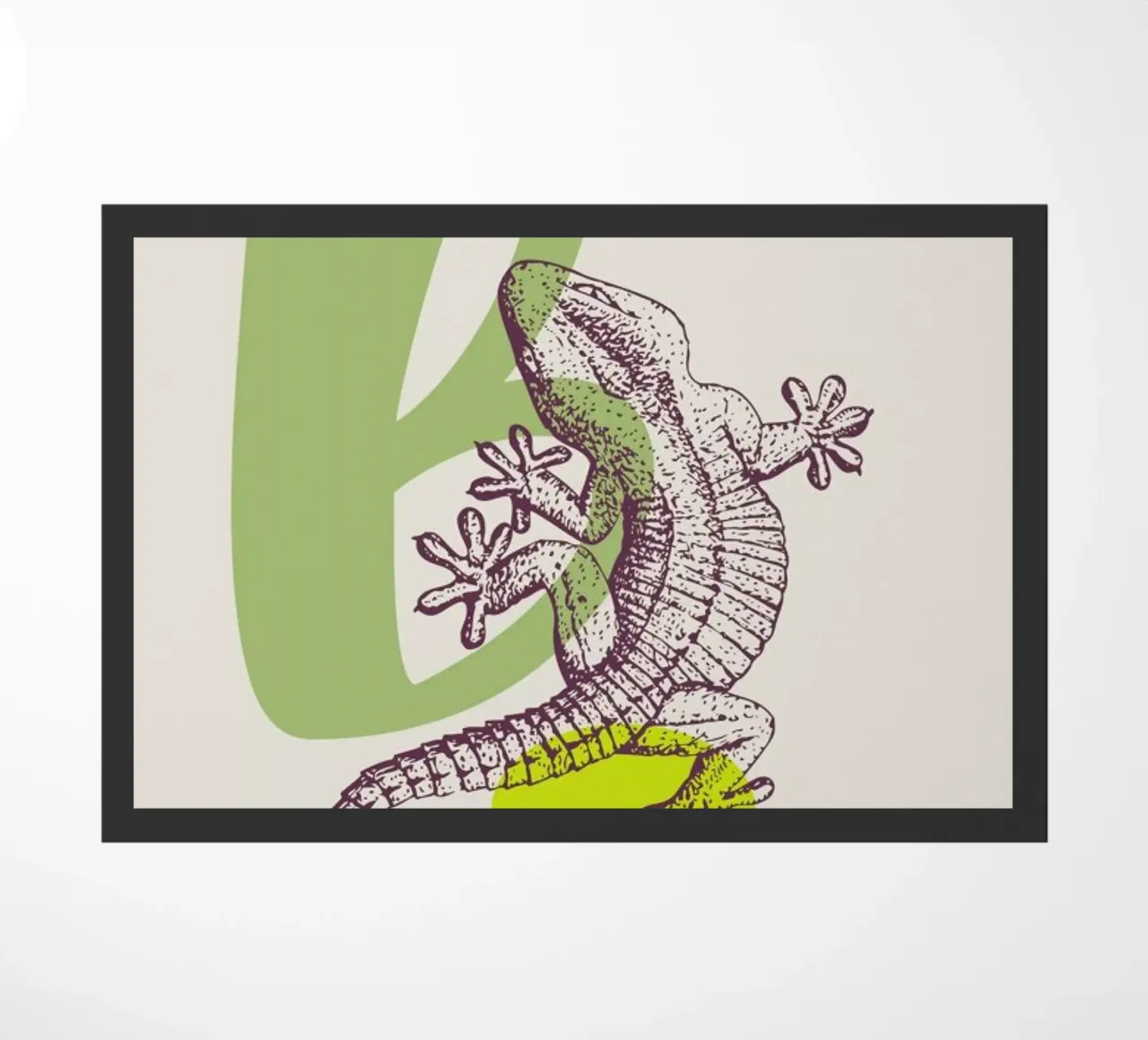 B zerbino da Froilein Juno