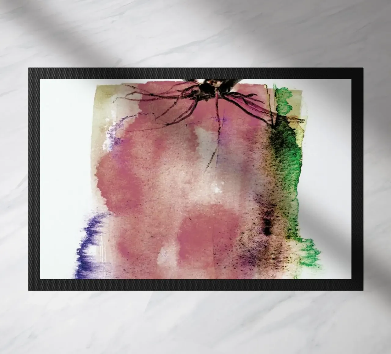 Gasteria zerbino da Shot By Clint