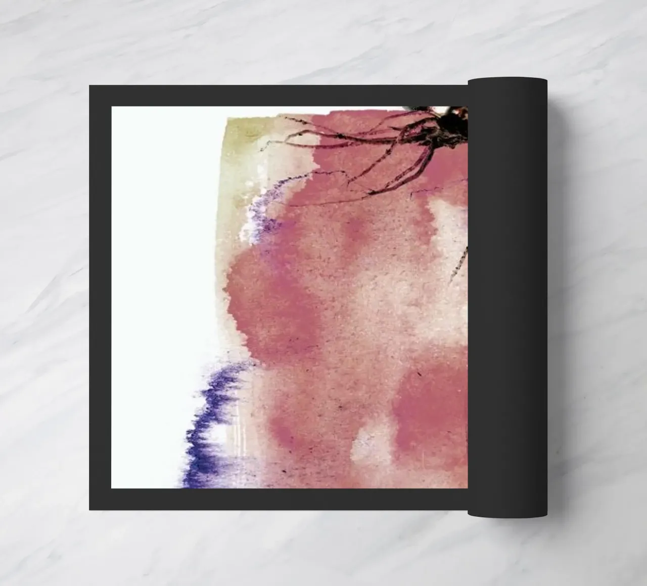 Gasteria zerbino da Shot By Clint