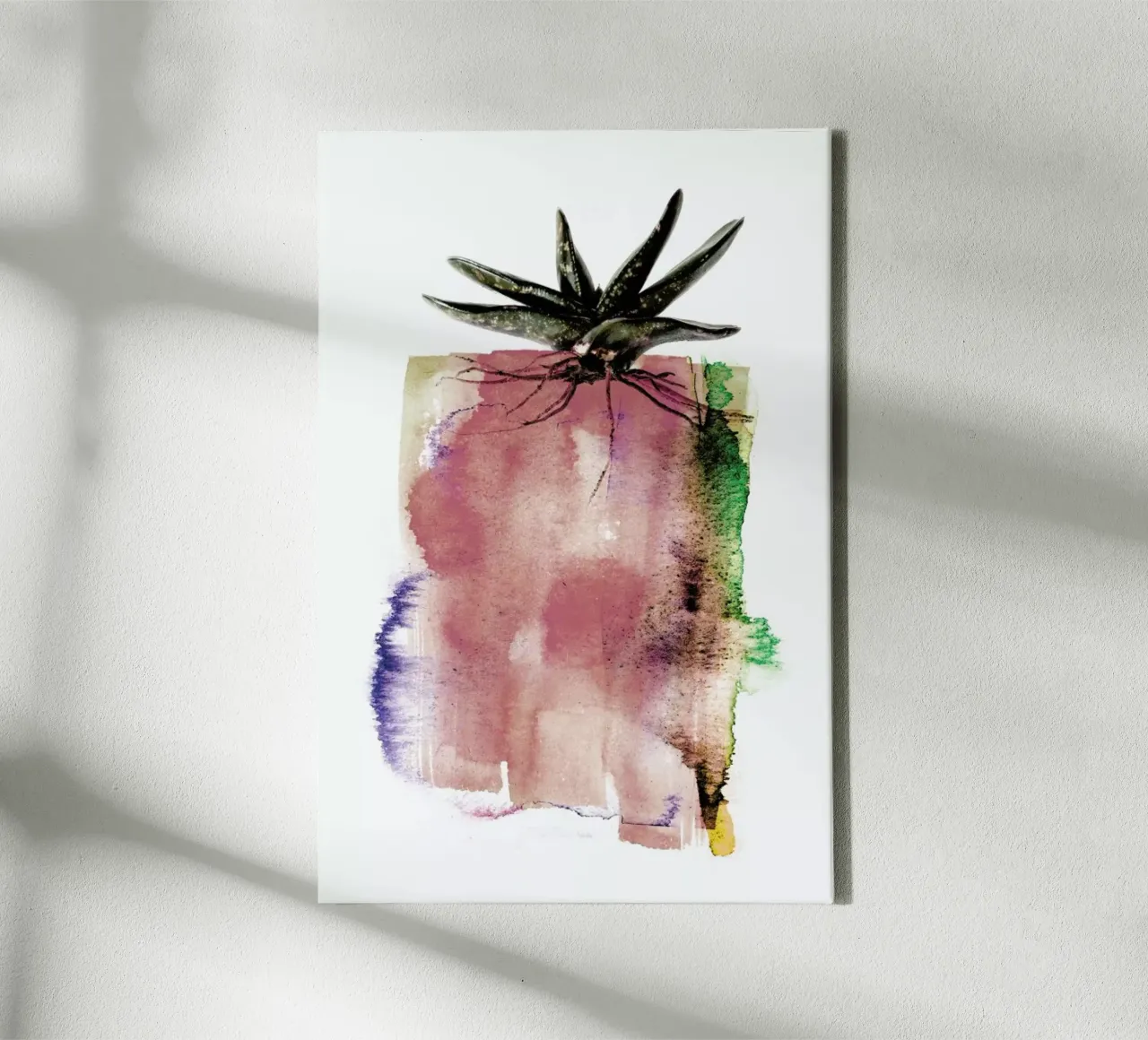 Gasteria canvas met Baklijst van Shot By Clint
