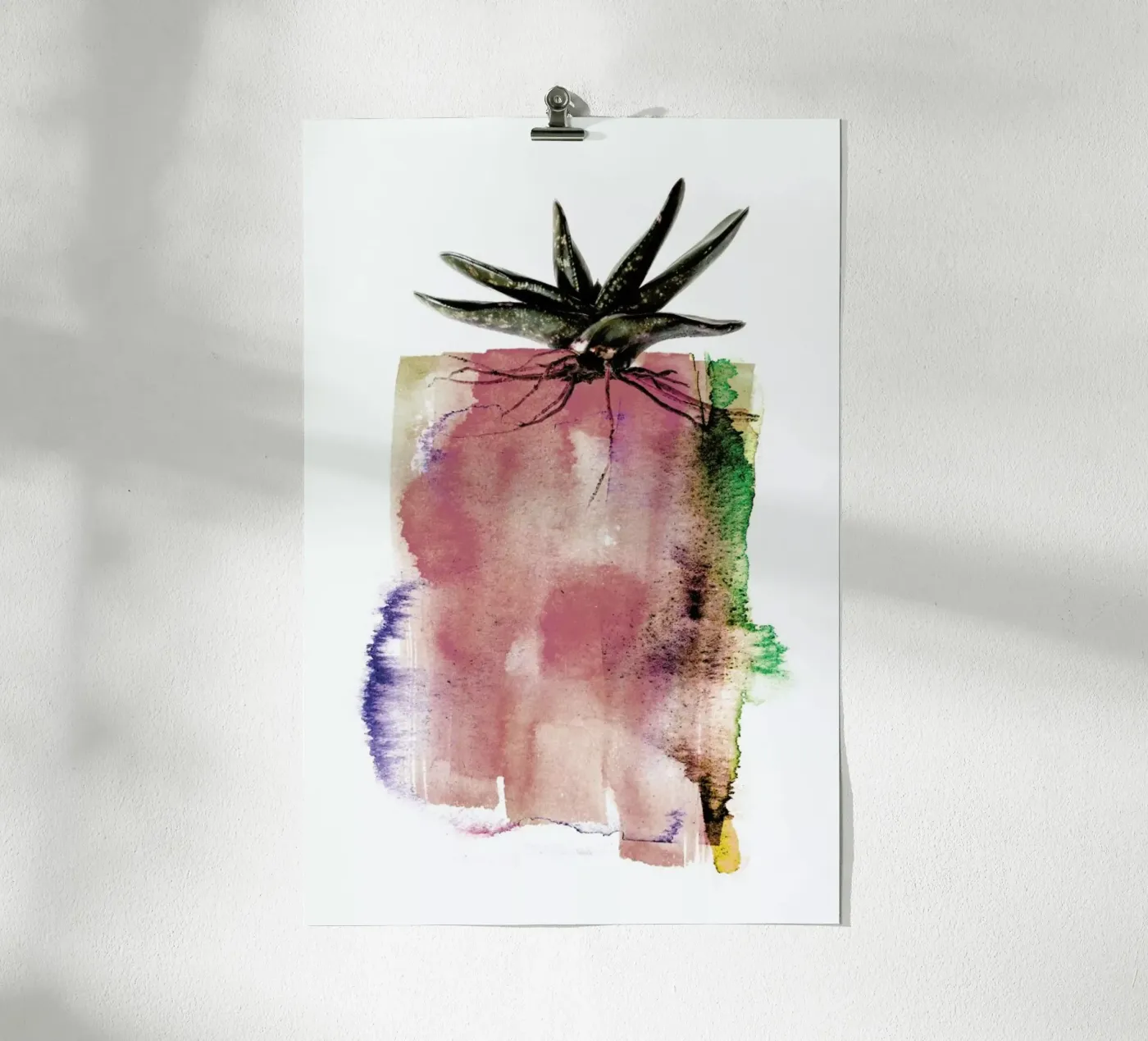 Gasteria Poster von Shot By Clint