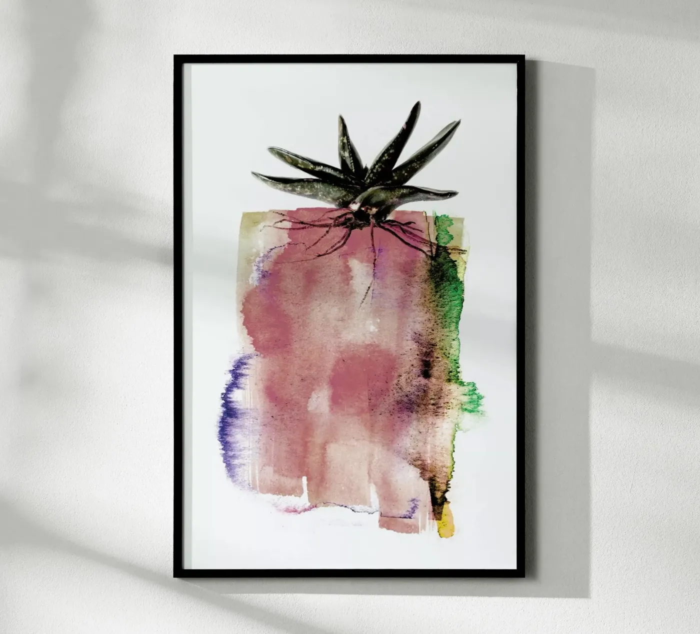 Gasteria Poster von Shot By Clint