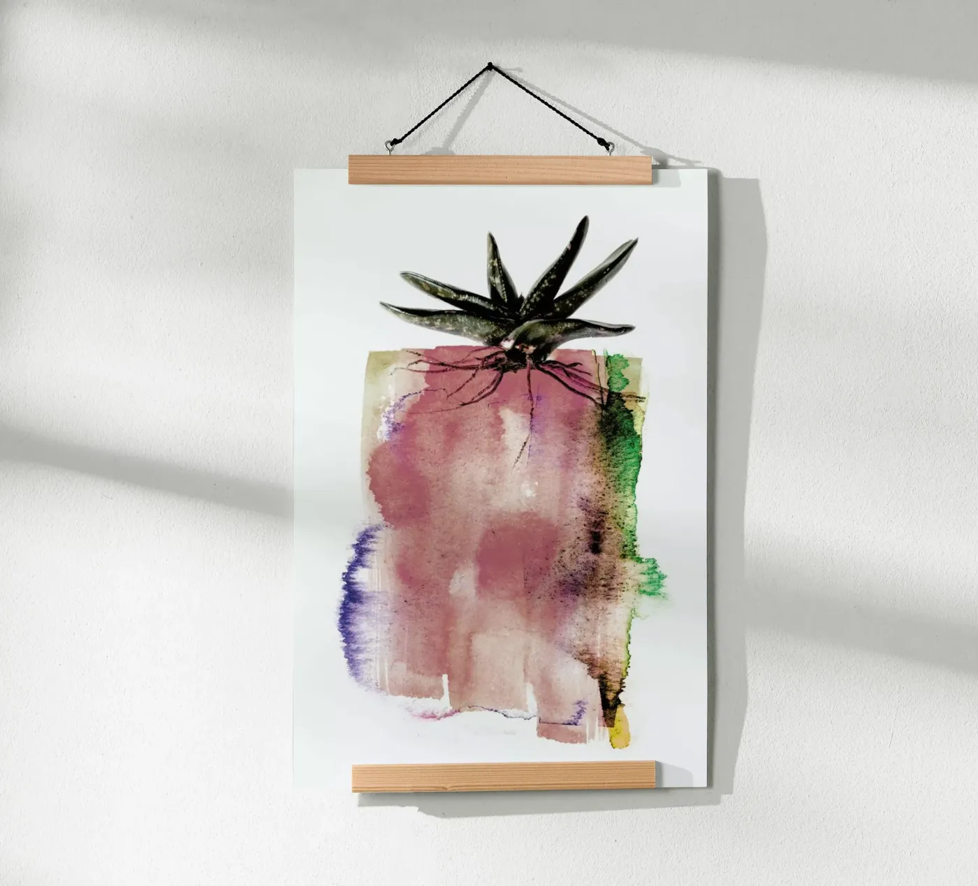 Gasteria Poster von Shot By Clint