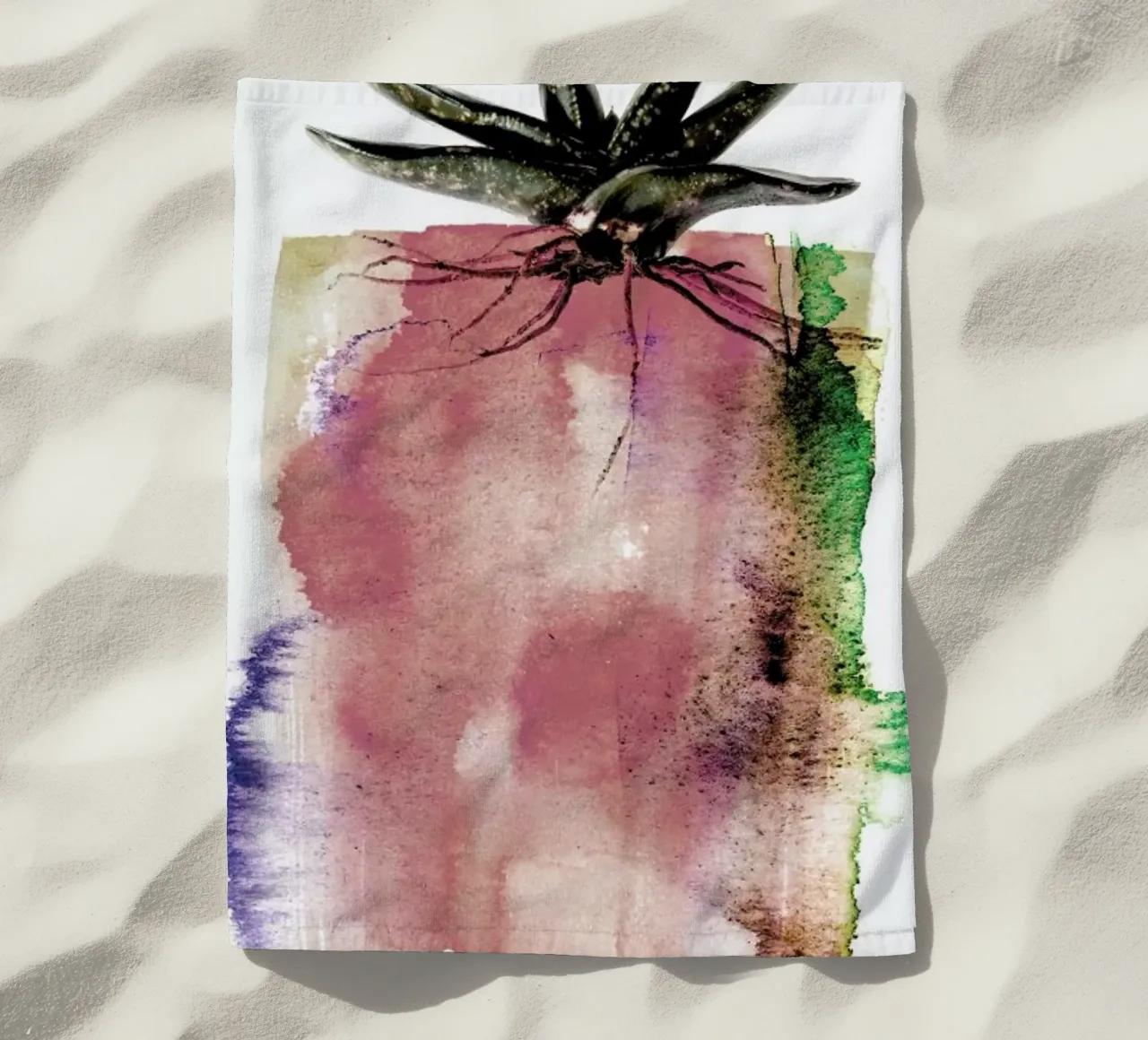 Gasteria telo mare da Shot By Clint