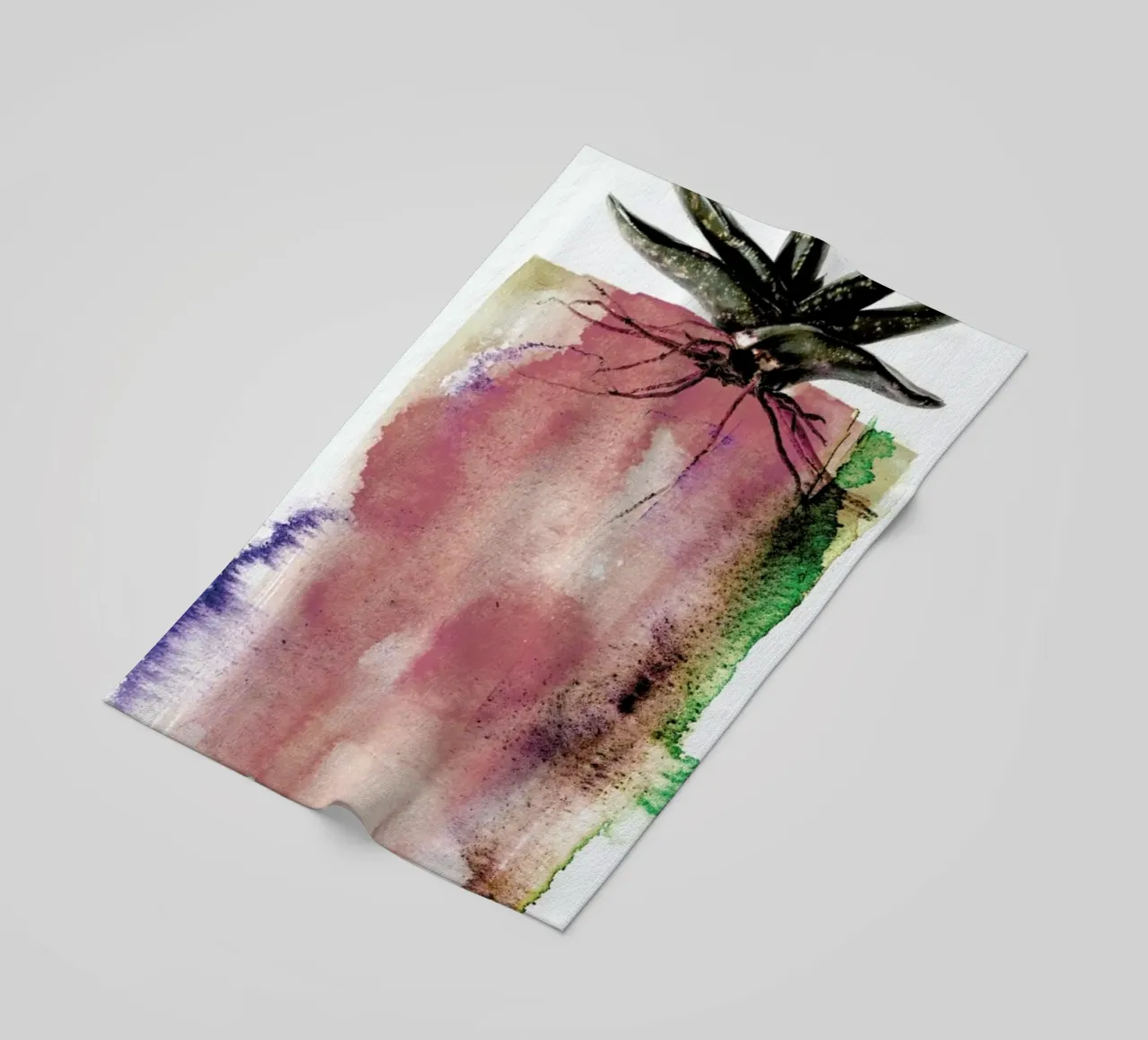 Gasteria telo mare da Shot By Clint