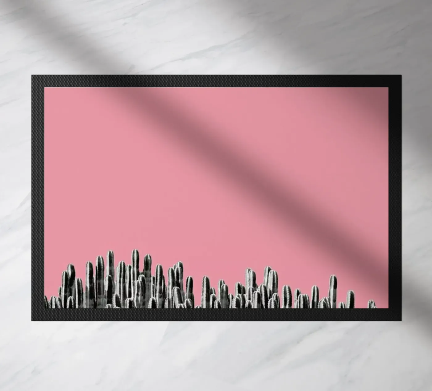 Cacti 02 zerbino da Froilein Juno