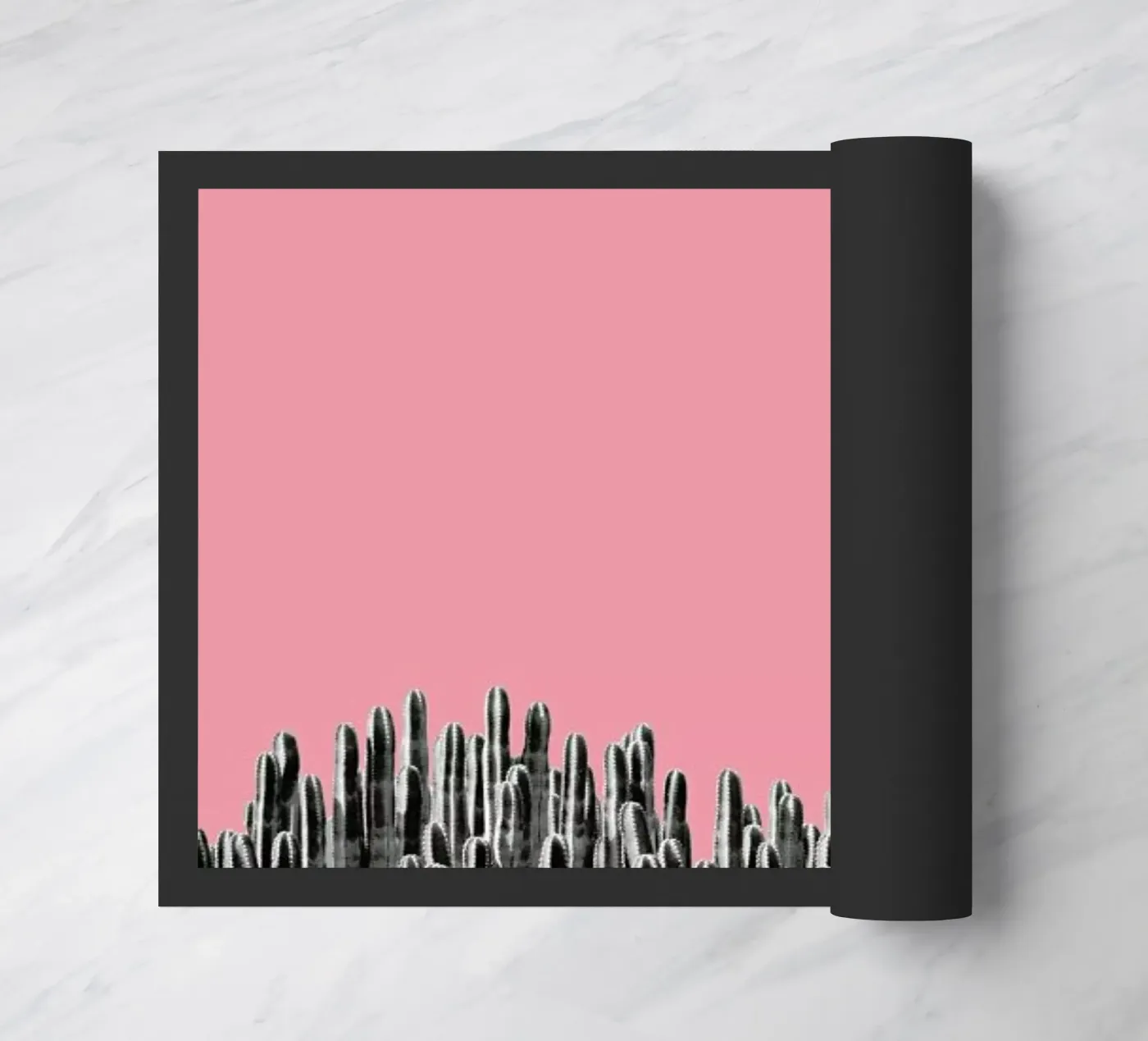 Cacti 02 zerbino da Froilein Juno