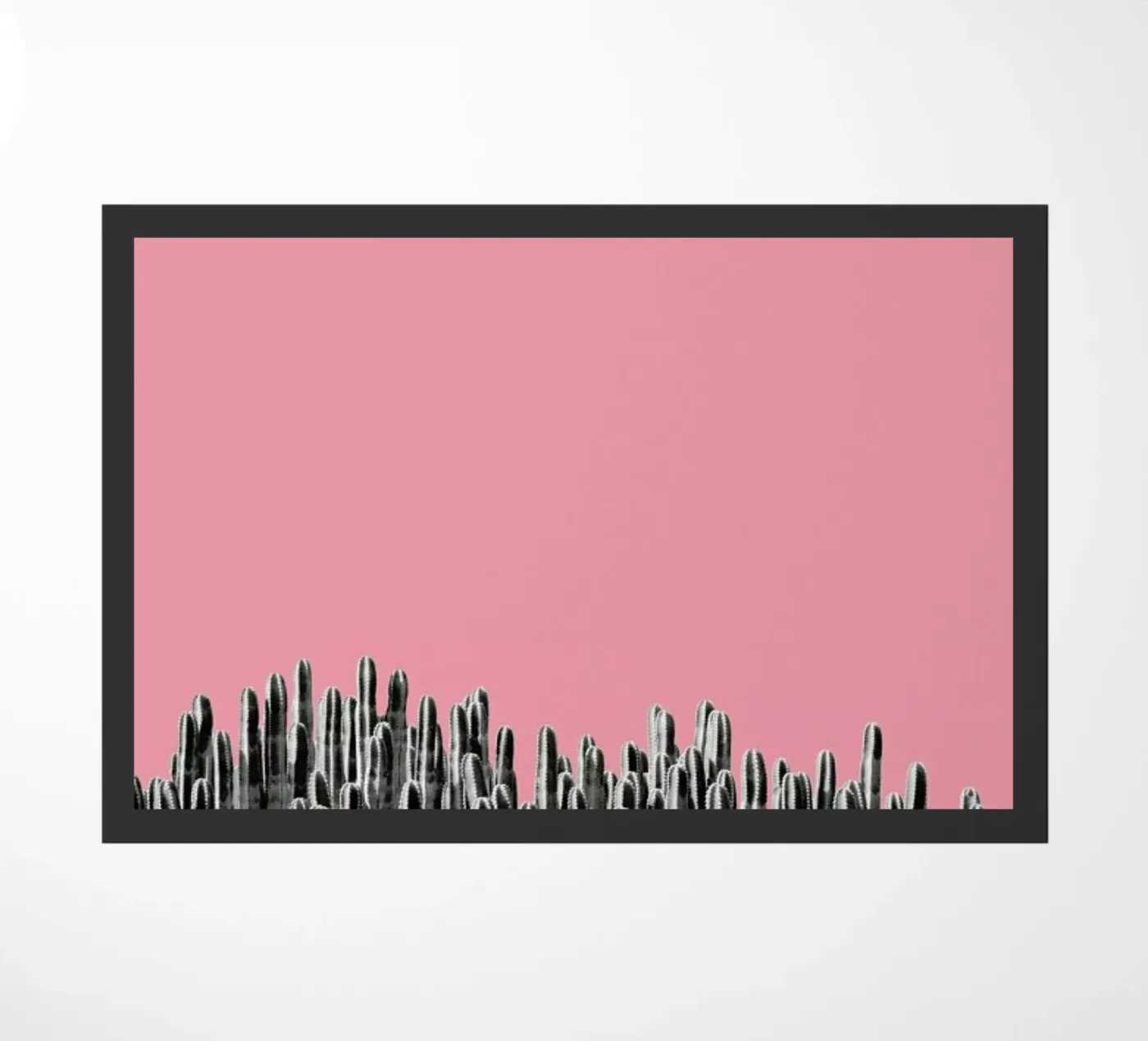 Cacti 02 zerbino da Froilein Juno