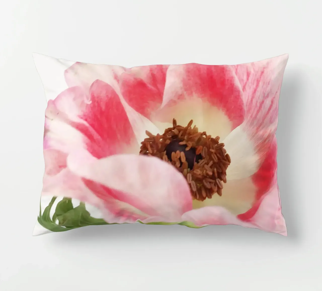 Anemone rosa II cuscino da Cassia Beck Photography