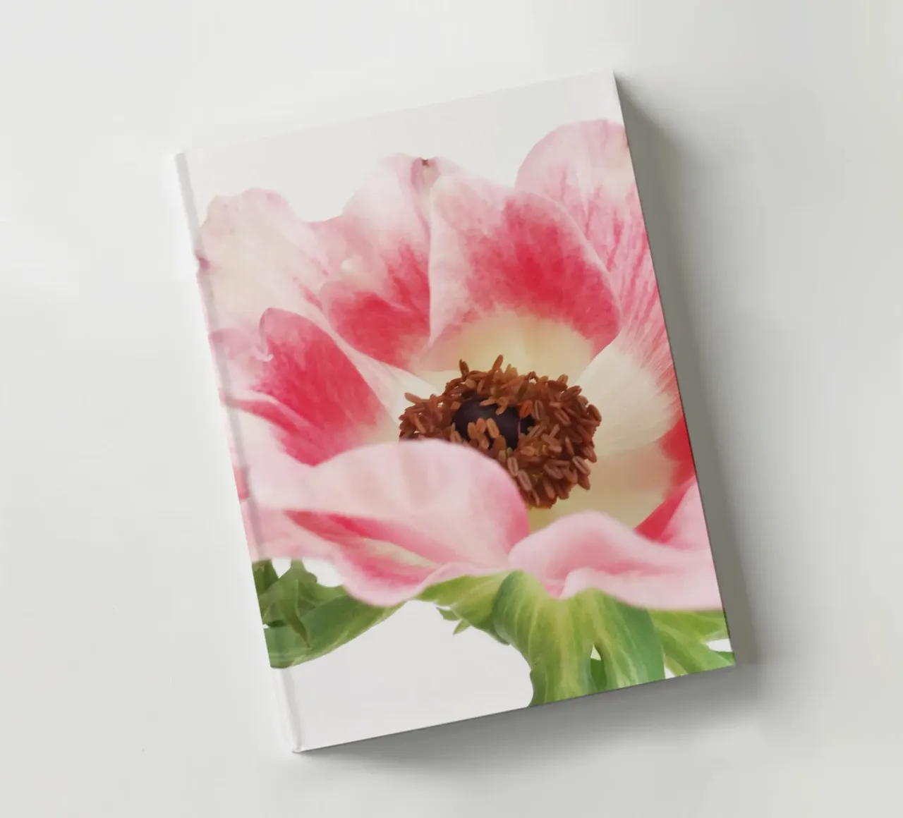 Pink Anemone II notebook by Cassia Beck Photography