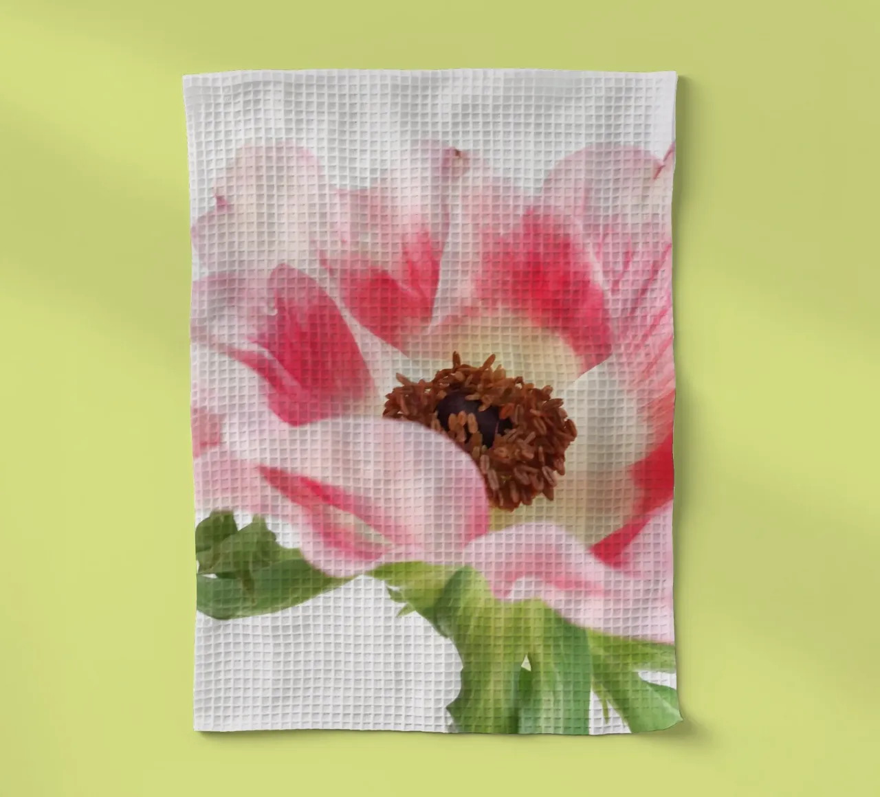 Anemone rosa II canovaccio da cucina da Cassia Beck Photography