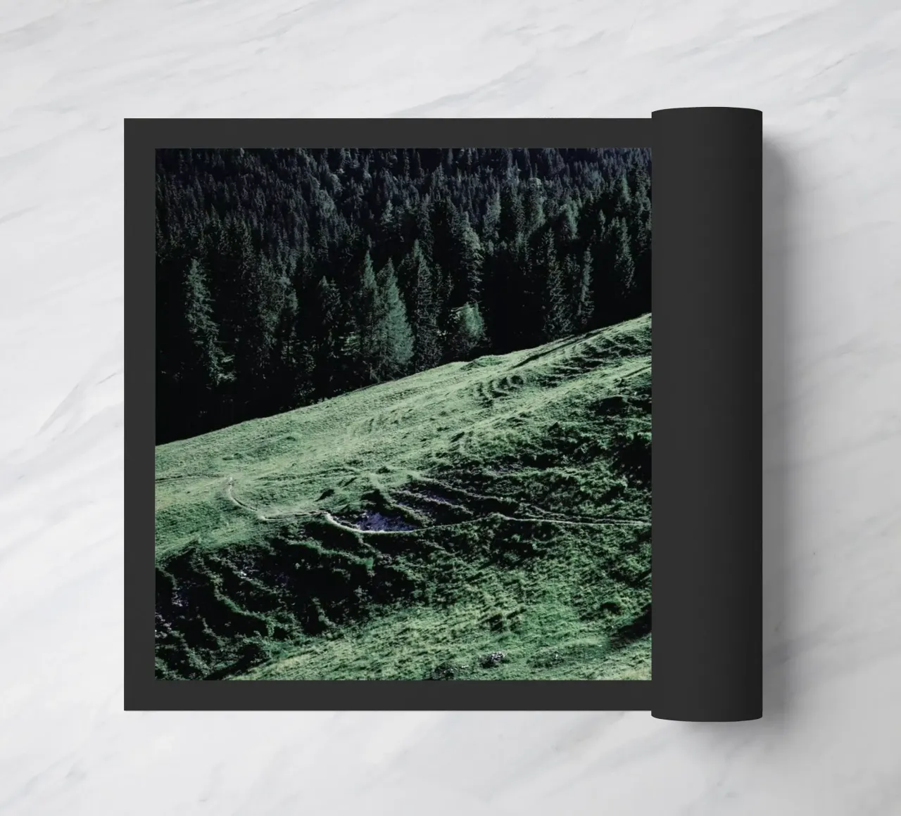 Jours Verts zerbino da Picture On The Fridge