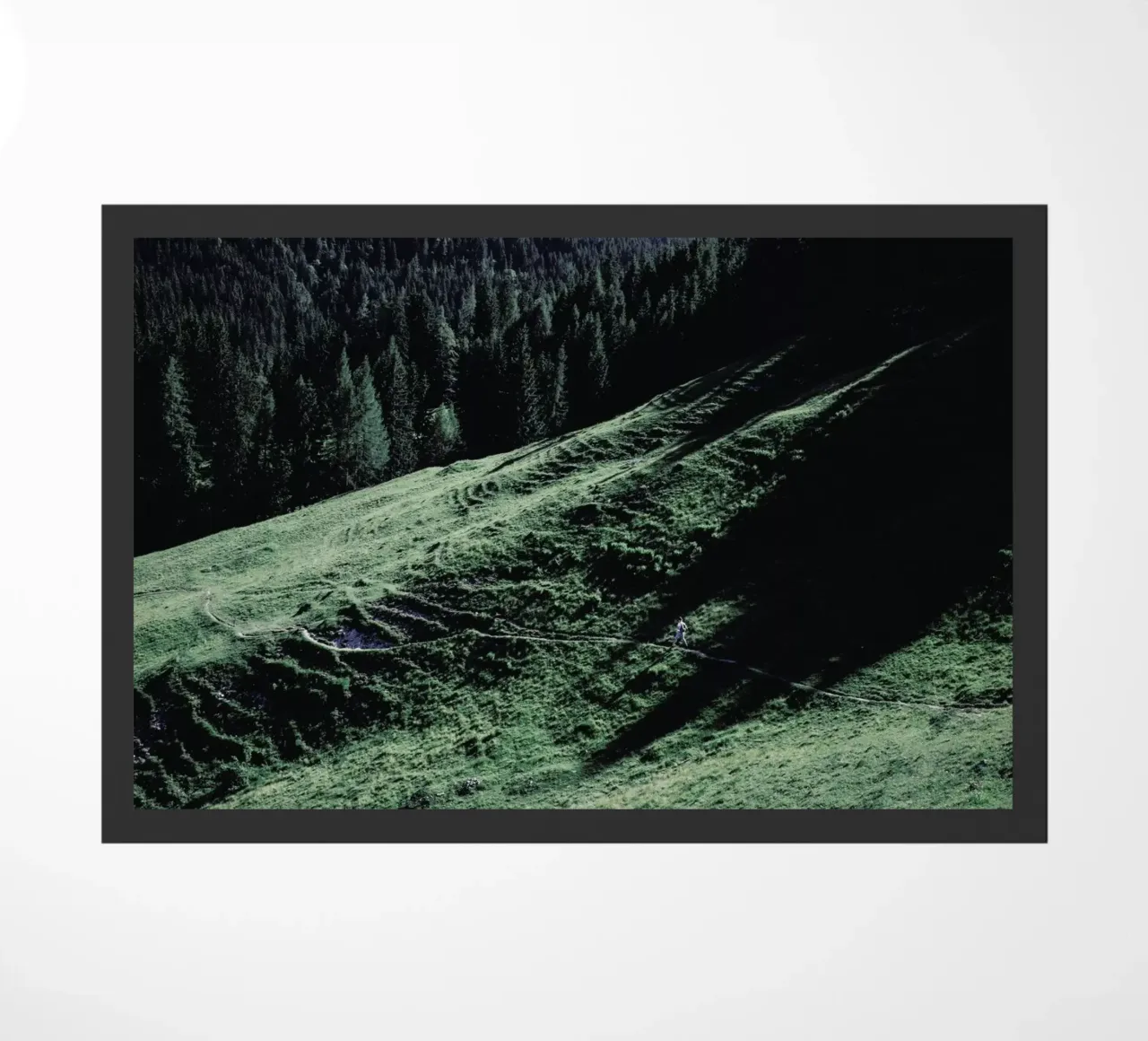 Jours Verts zerbino da Picture On The Fridge