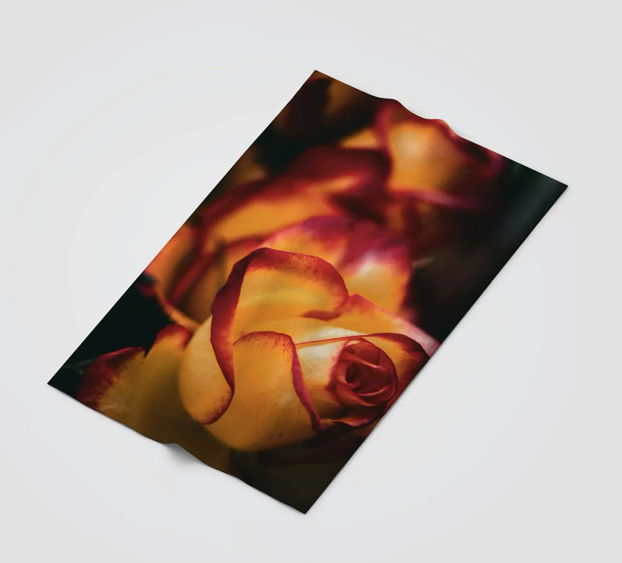 Rote Rosen coperta in pile da Jonas Klein