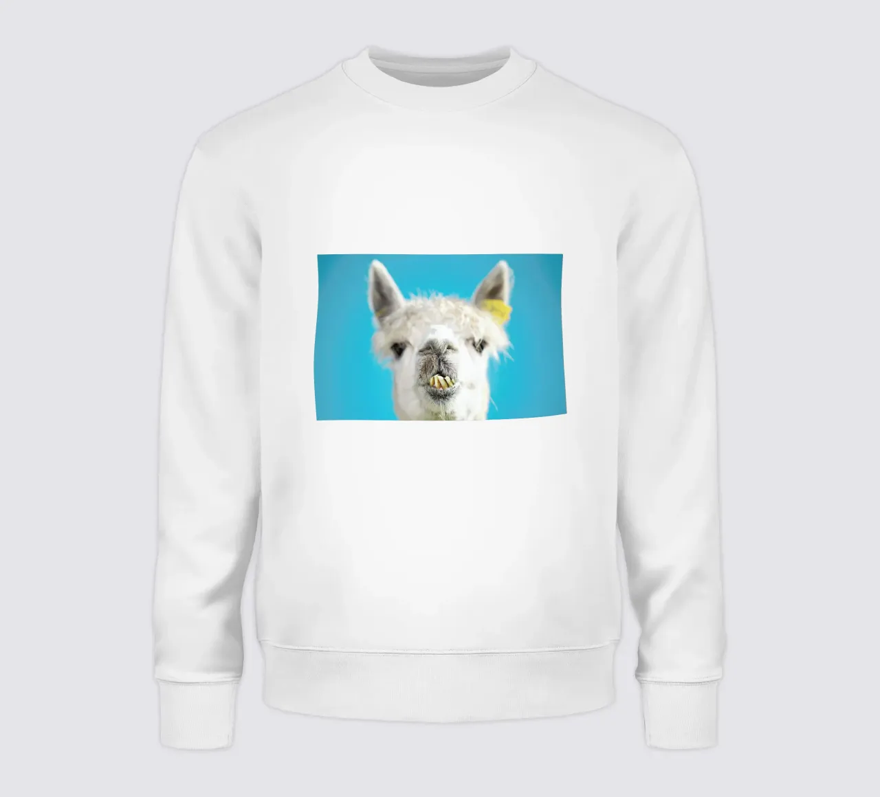 Larry felpa da Charlotte Curd