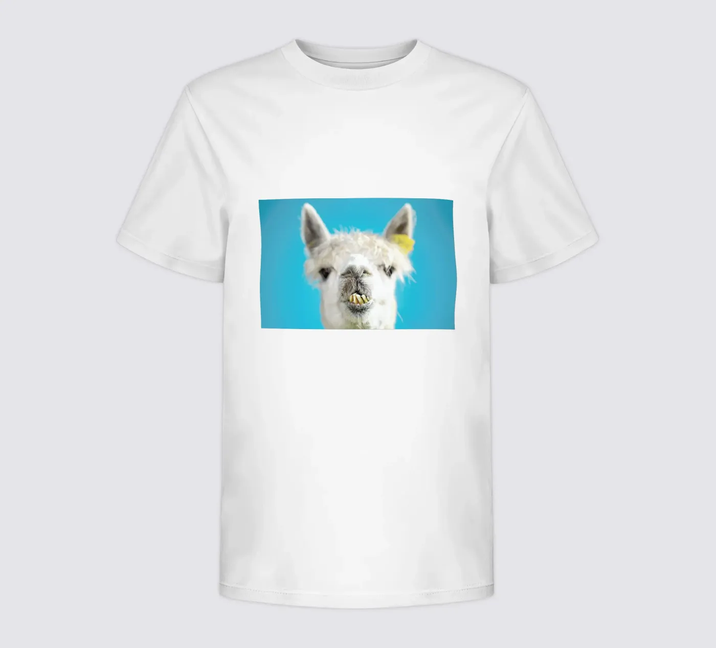 Larry t-shirt bambini da Charlotte Curd