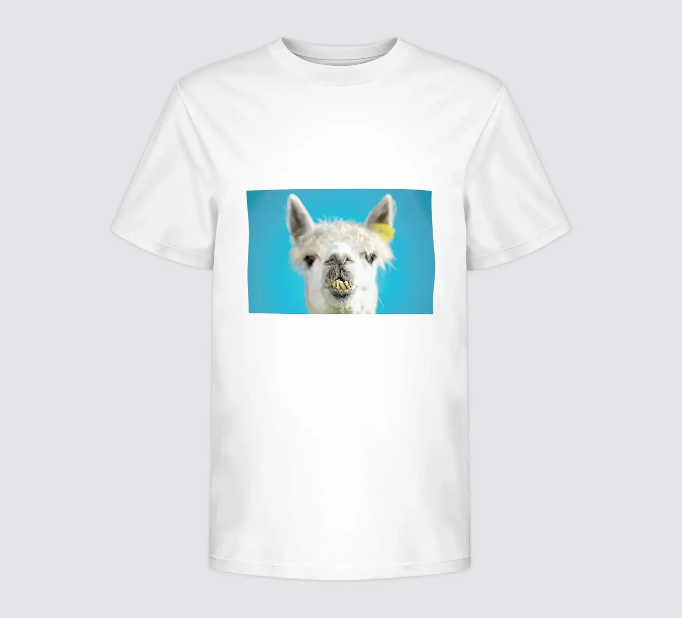 Larry t-shirt bambini da Charlotte Curd