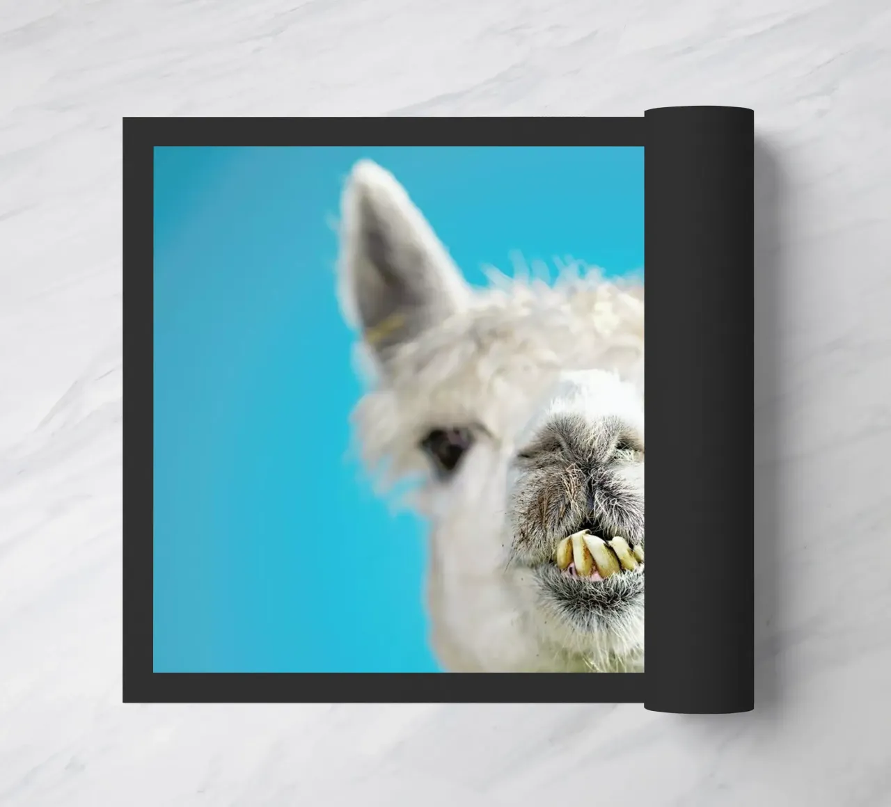 Larry zerbino da Charlotte Curd