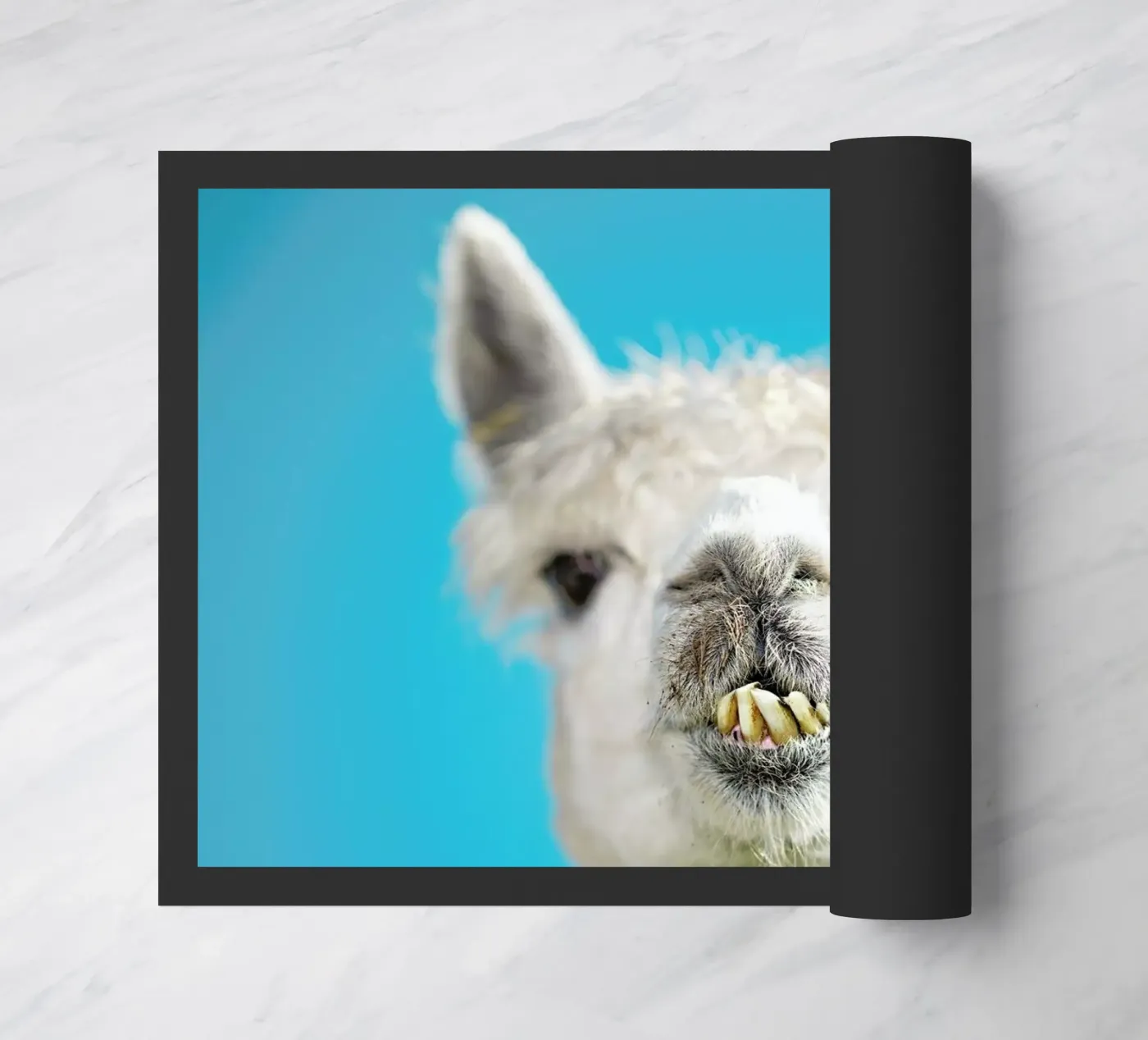 Larry deurmat van Charlotte Curd