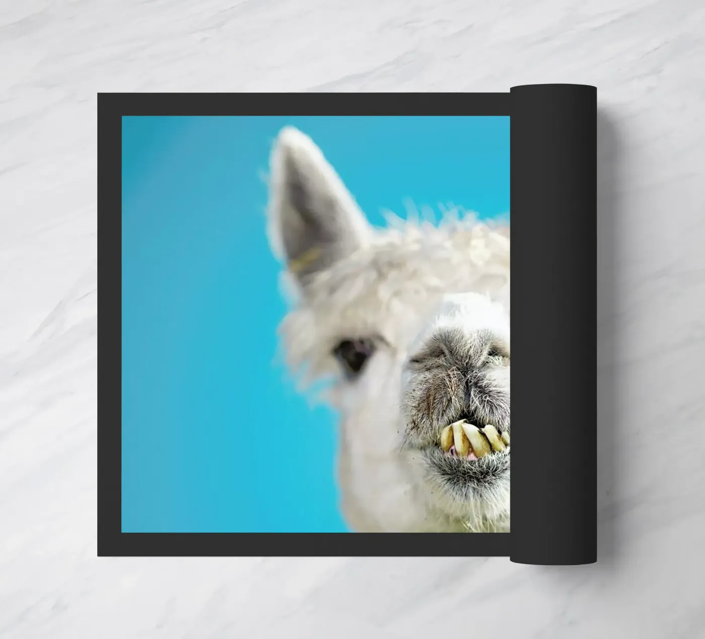 Larry deurmat van Charlotte Curd