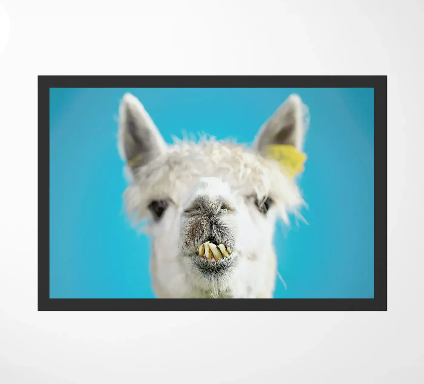 Larry deurmat van Charlotte Curd