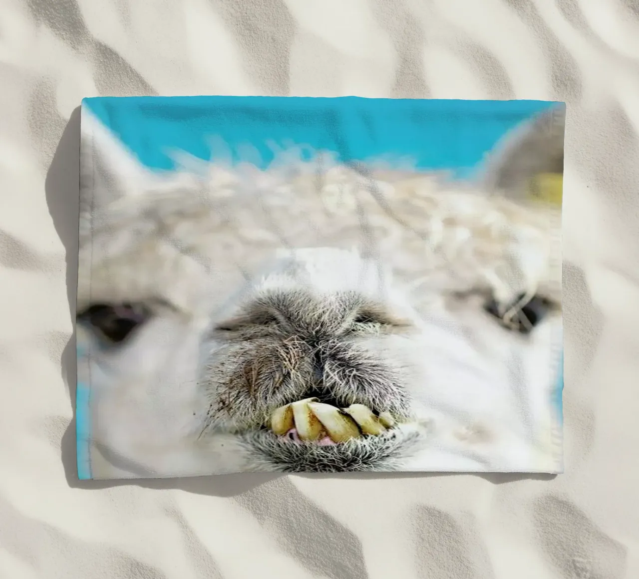 Larry telo mare da Charlotte Curd