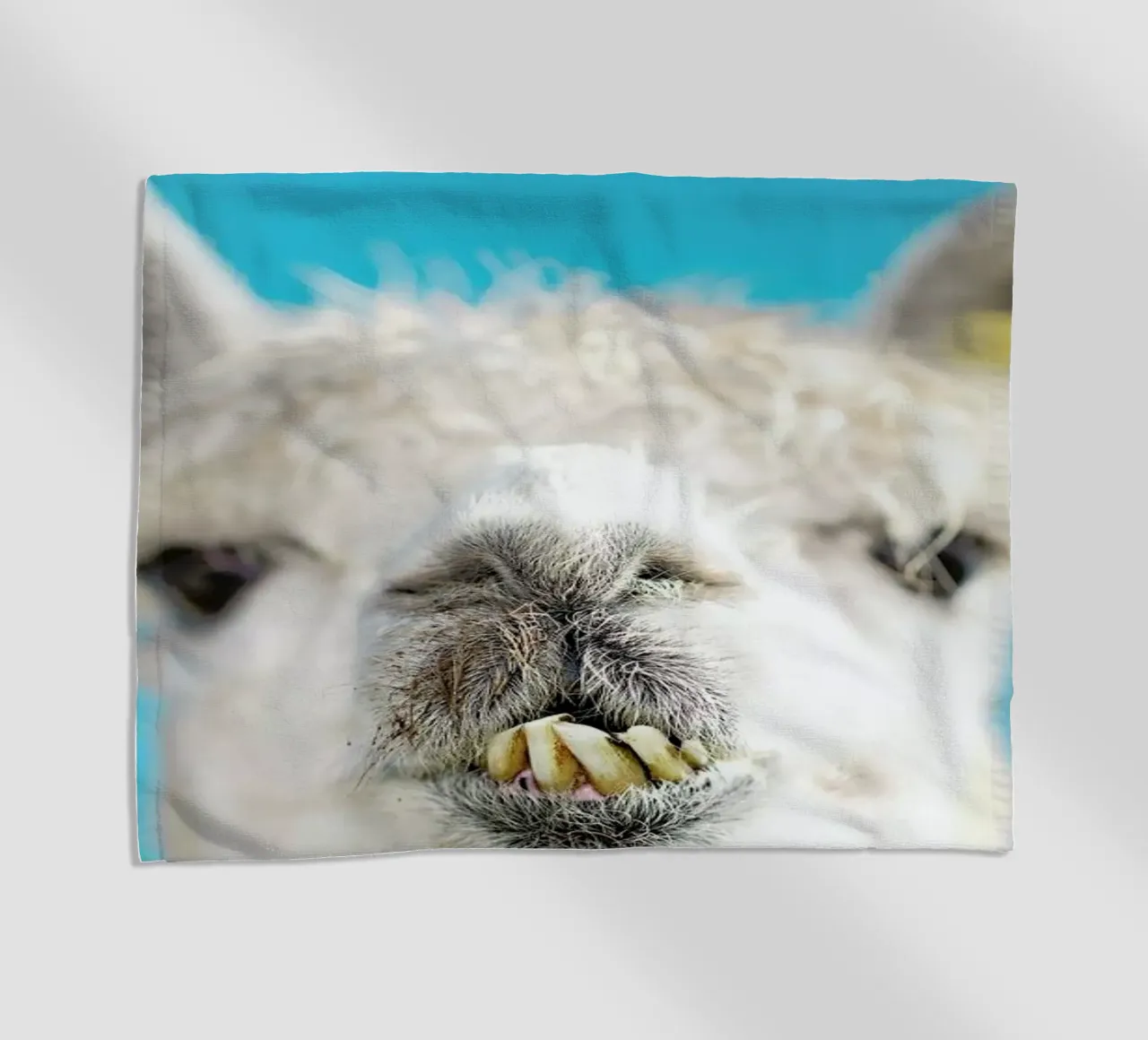 Larry telo mare da Charlotte Curd