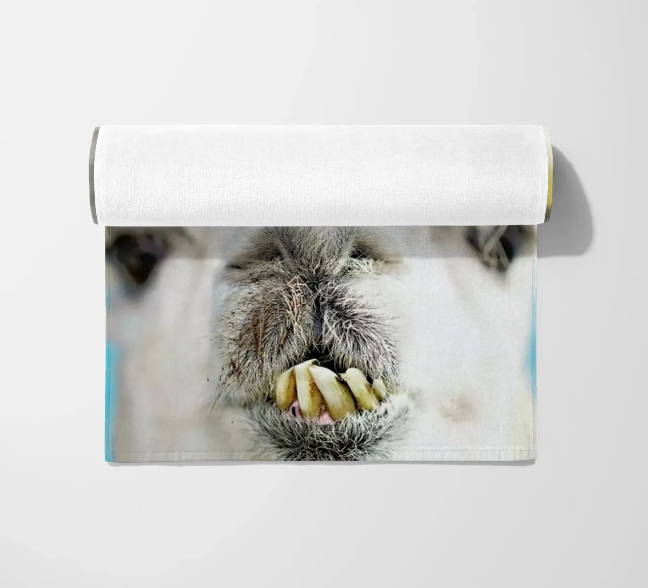 Larry telo mare da Charlotte Curd