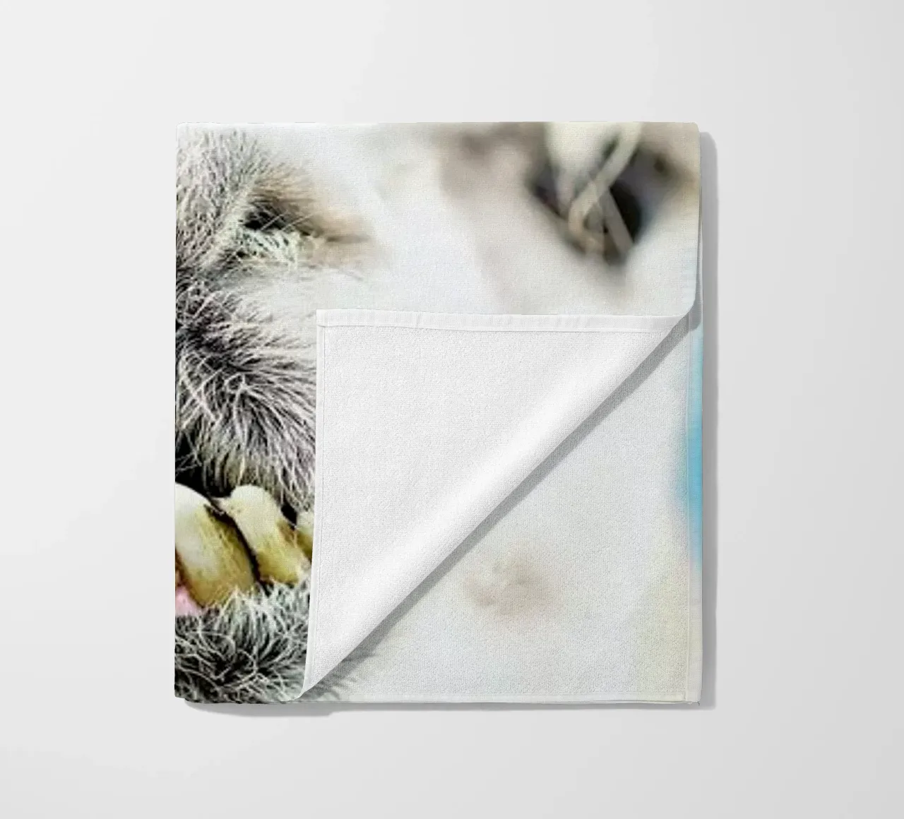 Larry telo mare da Charlotte Curd