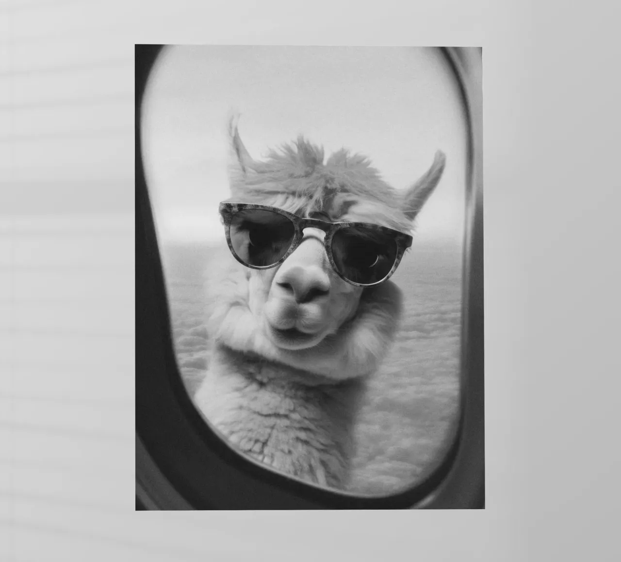 Funny Llama pellicola backlit da Dagmar Pels