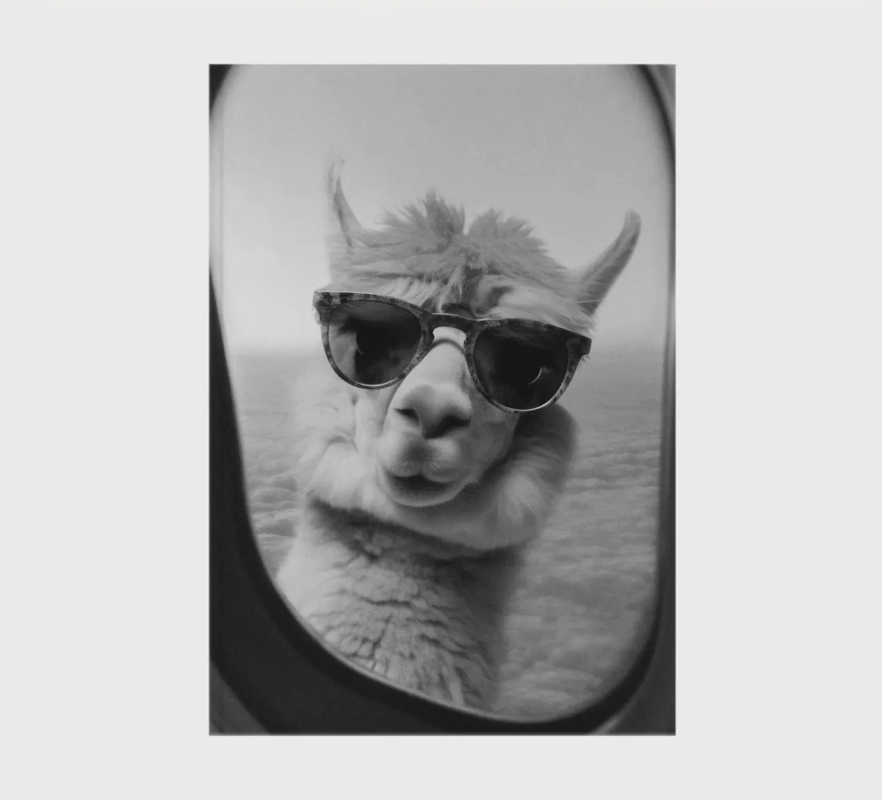 Funny Llama notebook by Dagmar Pels