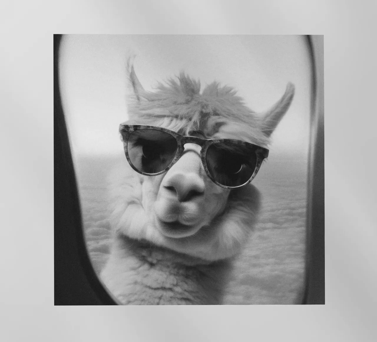 Funny Llama Square pellicola backlit da Dagmar Pels