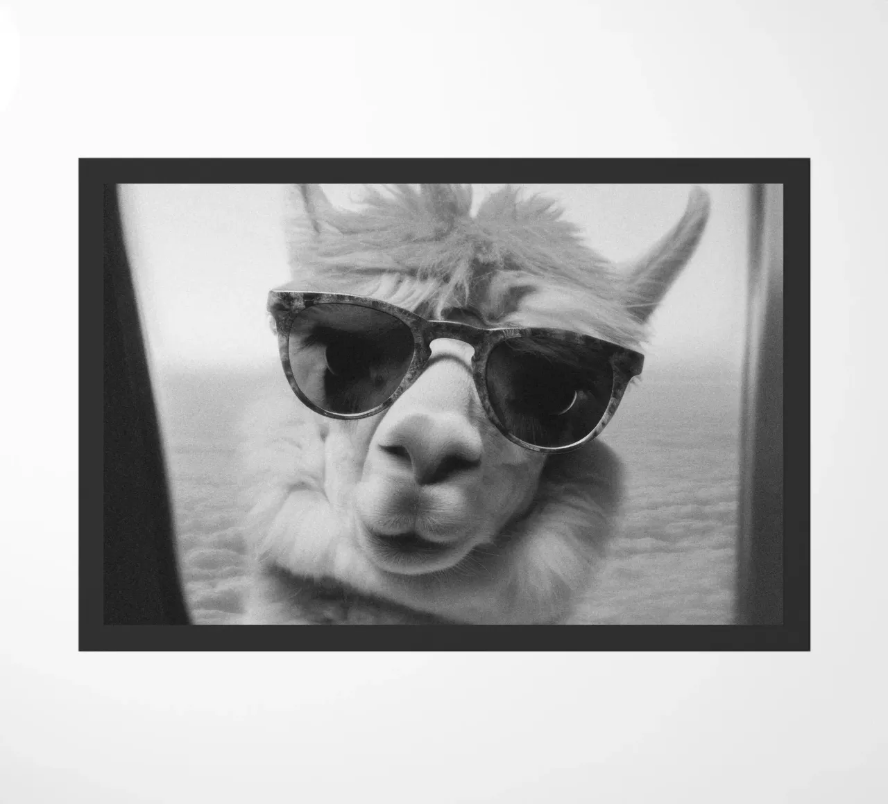 Funny Llama Square zerbino da Dagmar Pels