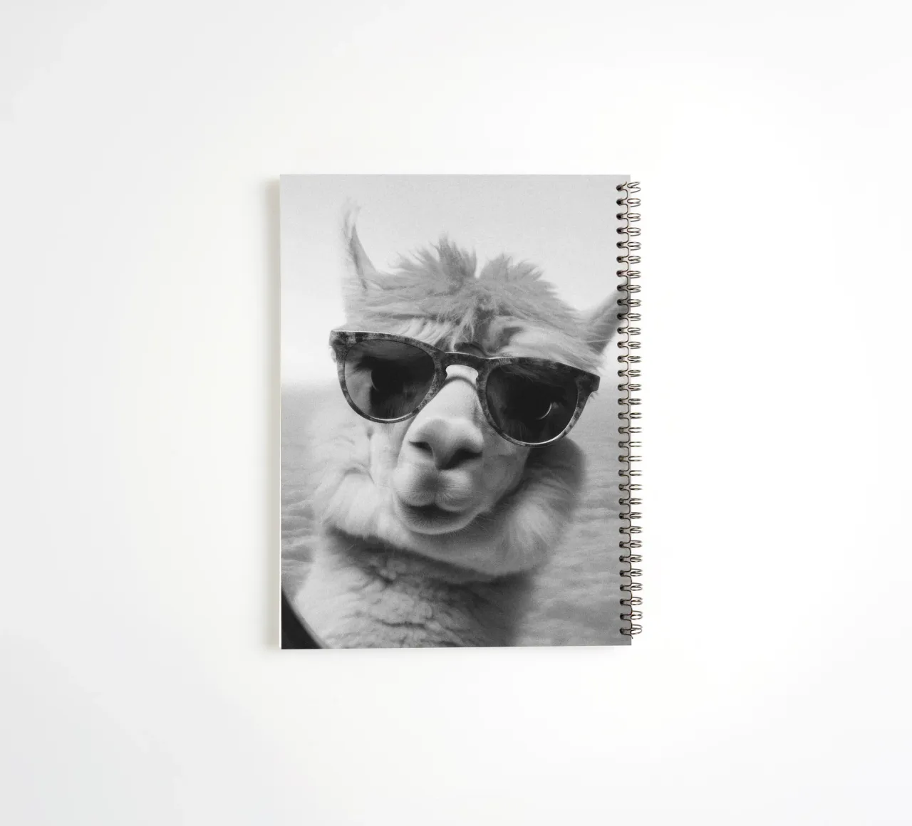 Funny Llama Square spiral notebook by Dagmar Pels