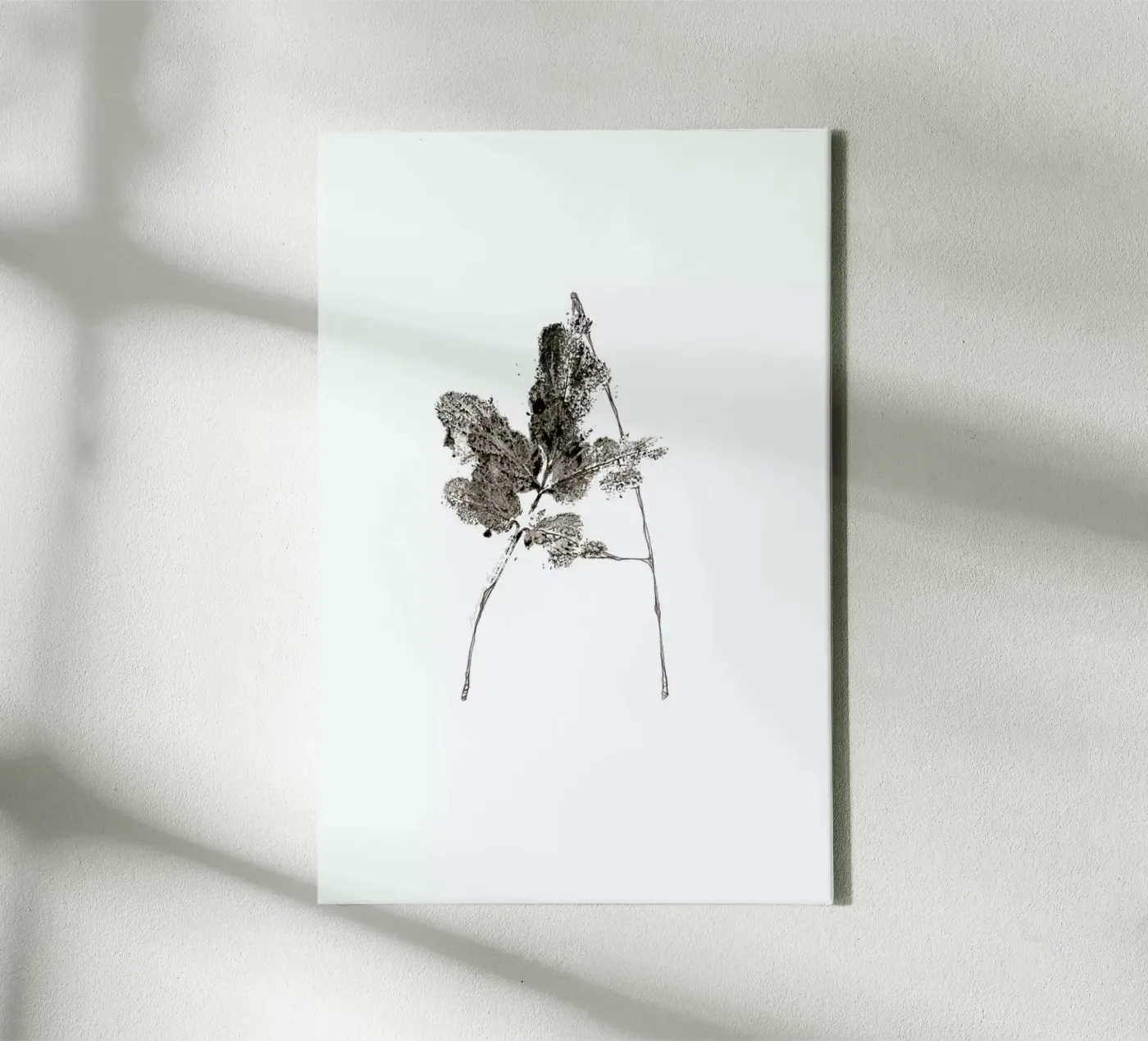 A canvas van Marina Guiu