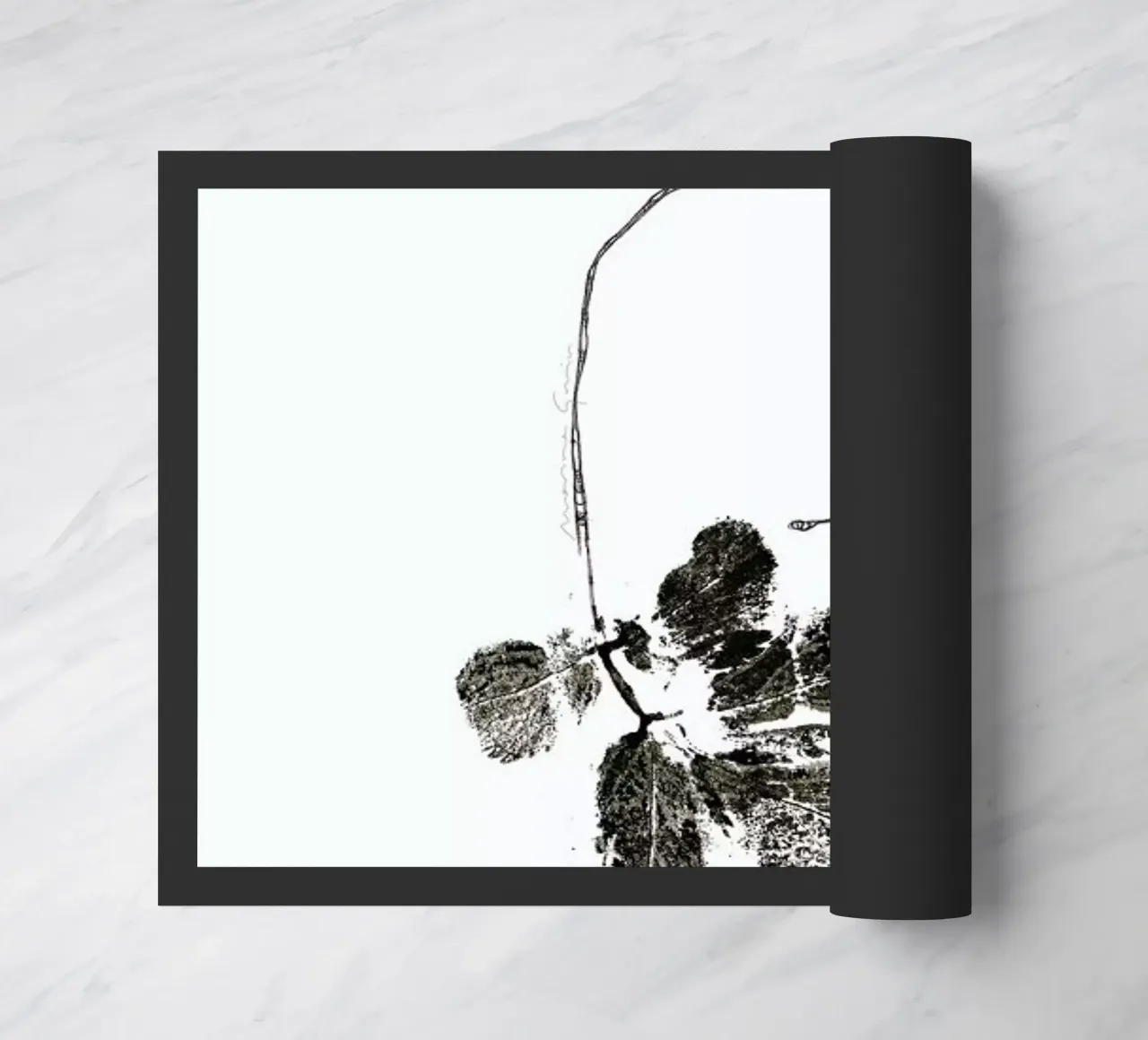 G zerbino da Marina Guiu