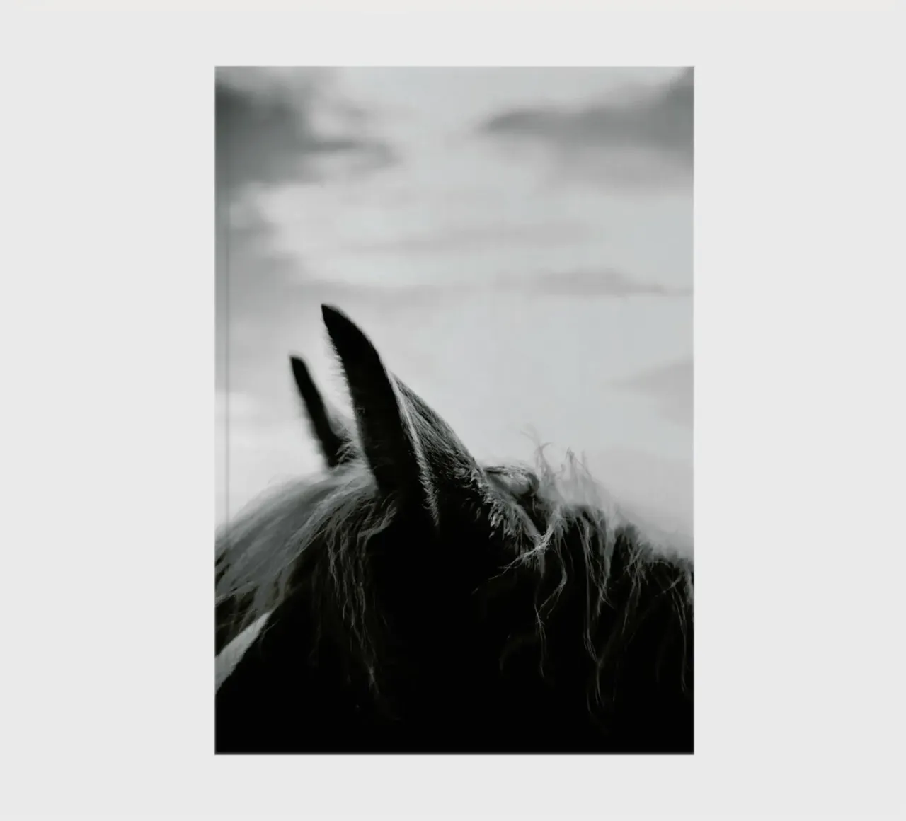 Listen notebook by treechild