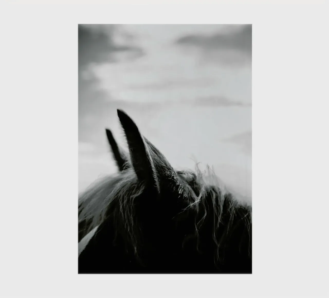 Listen notebook by treechild