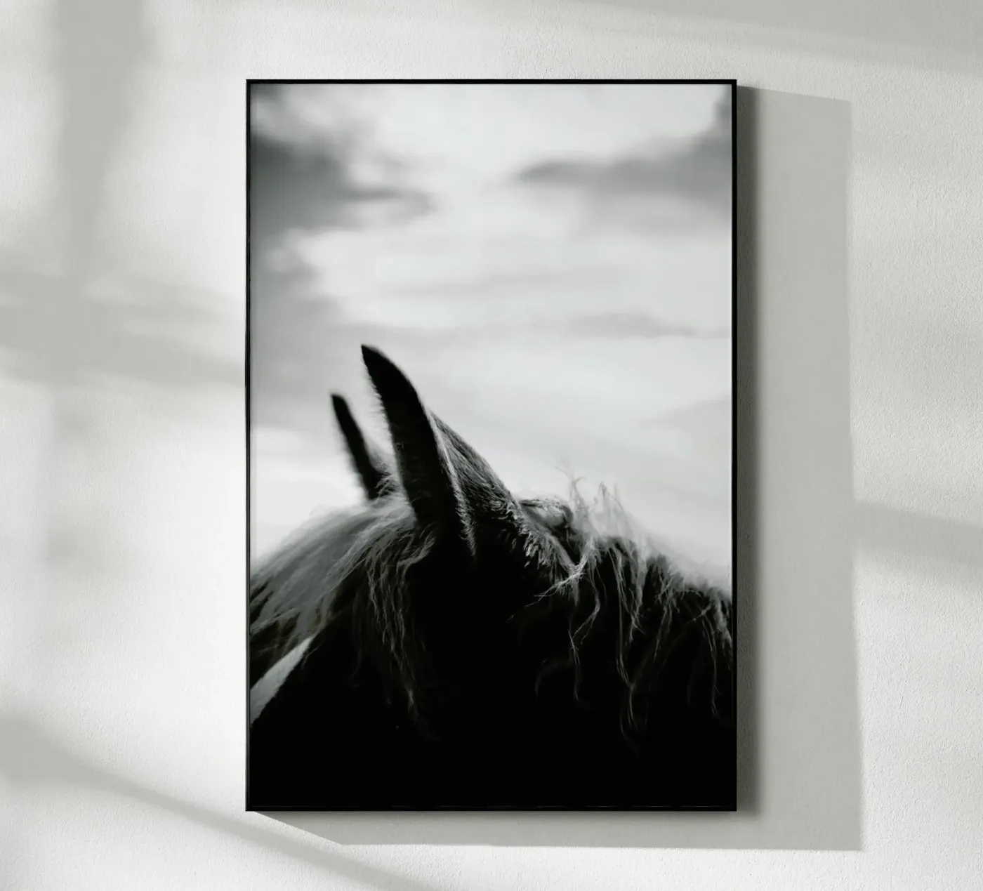 Listen plexiglas de treechild