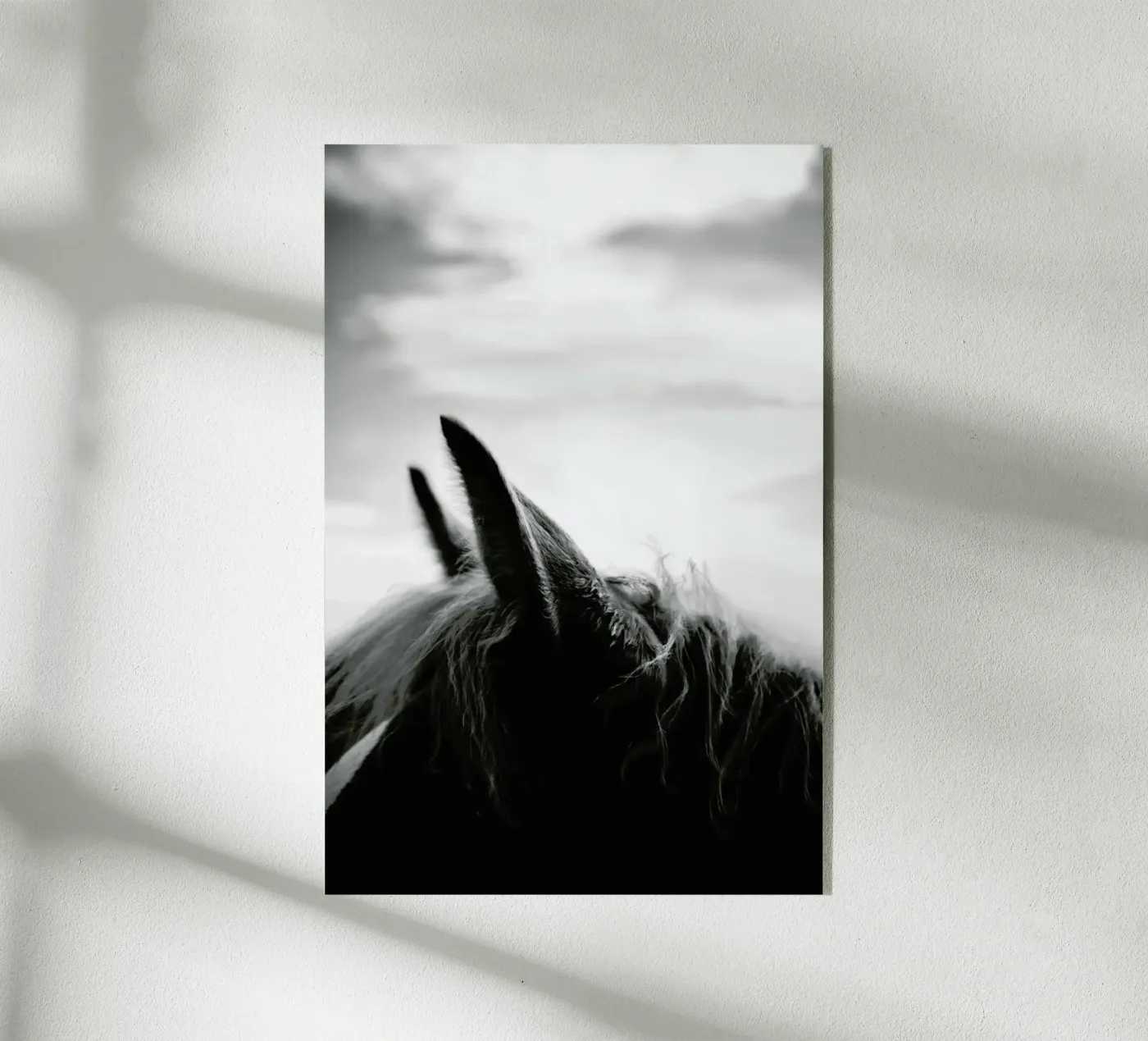 Listen plexiglas de treechild