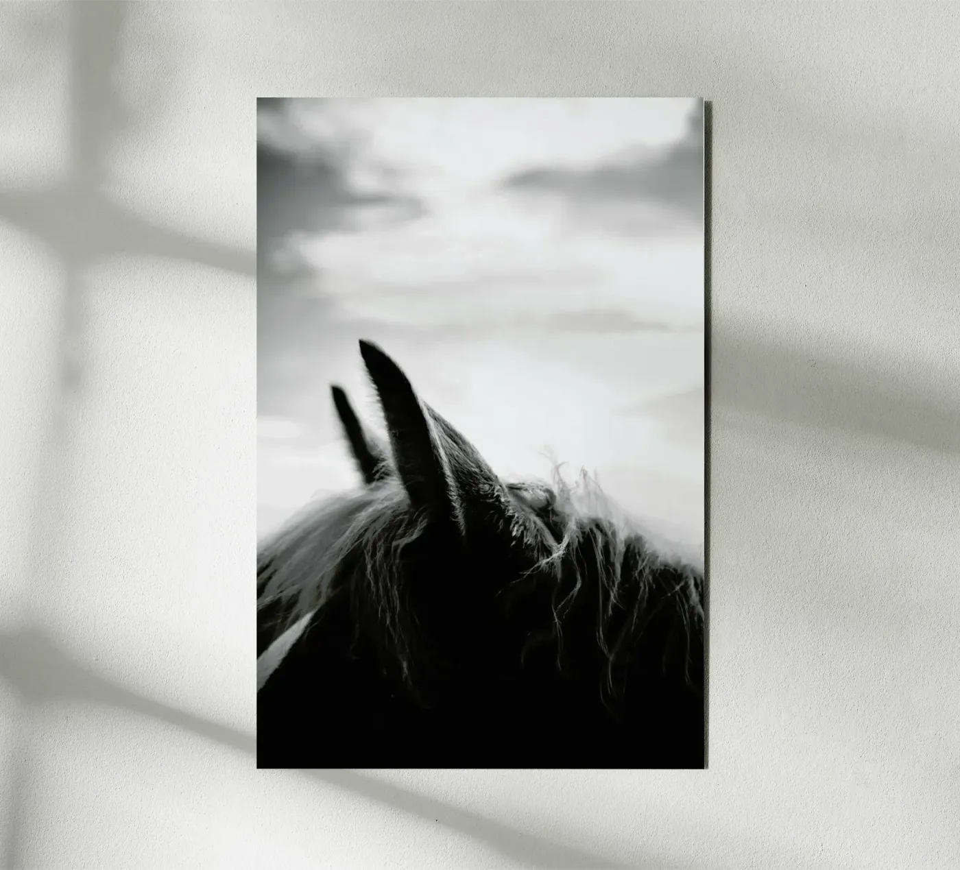 Listen pannello forex da treechild