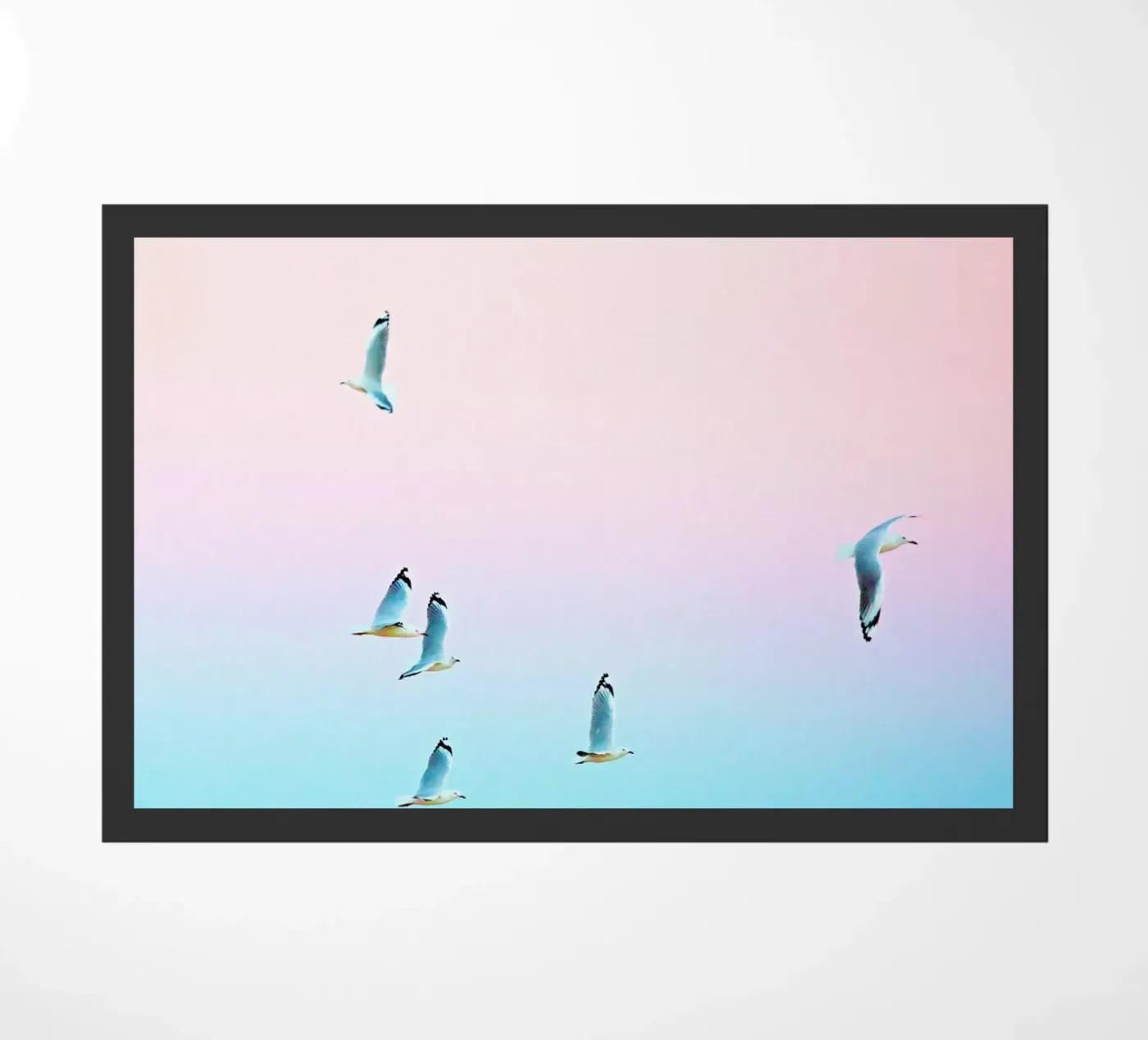 Pastgulls zerbino da Charlotte Curd